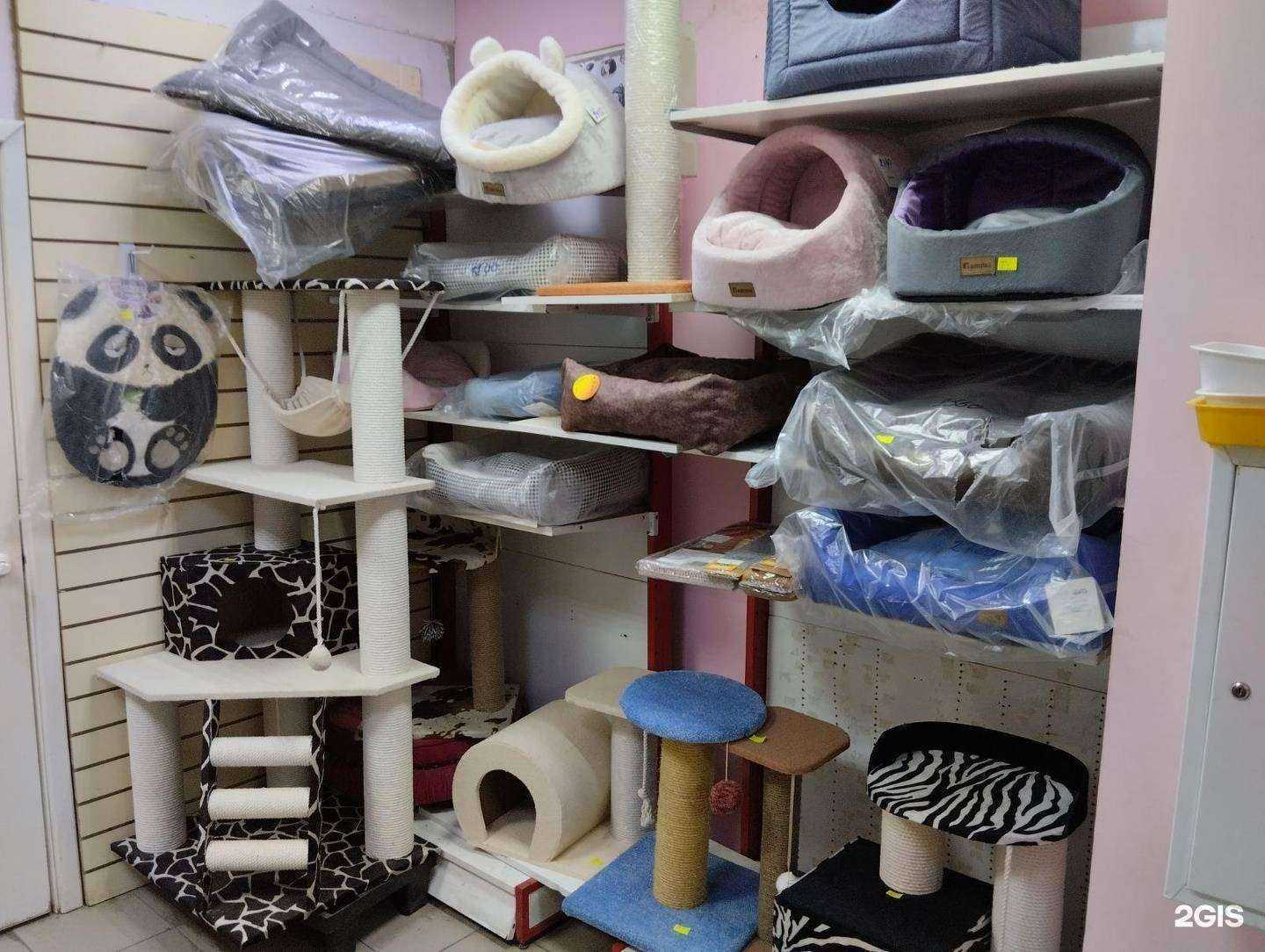 Отзывы на компанию Пушистый друг в Богородске c фото