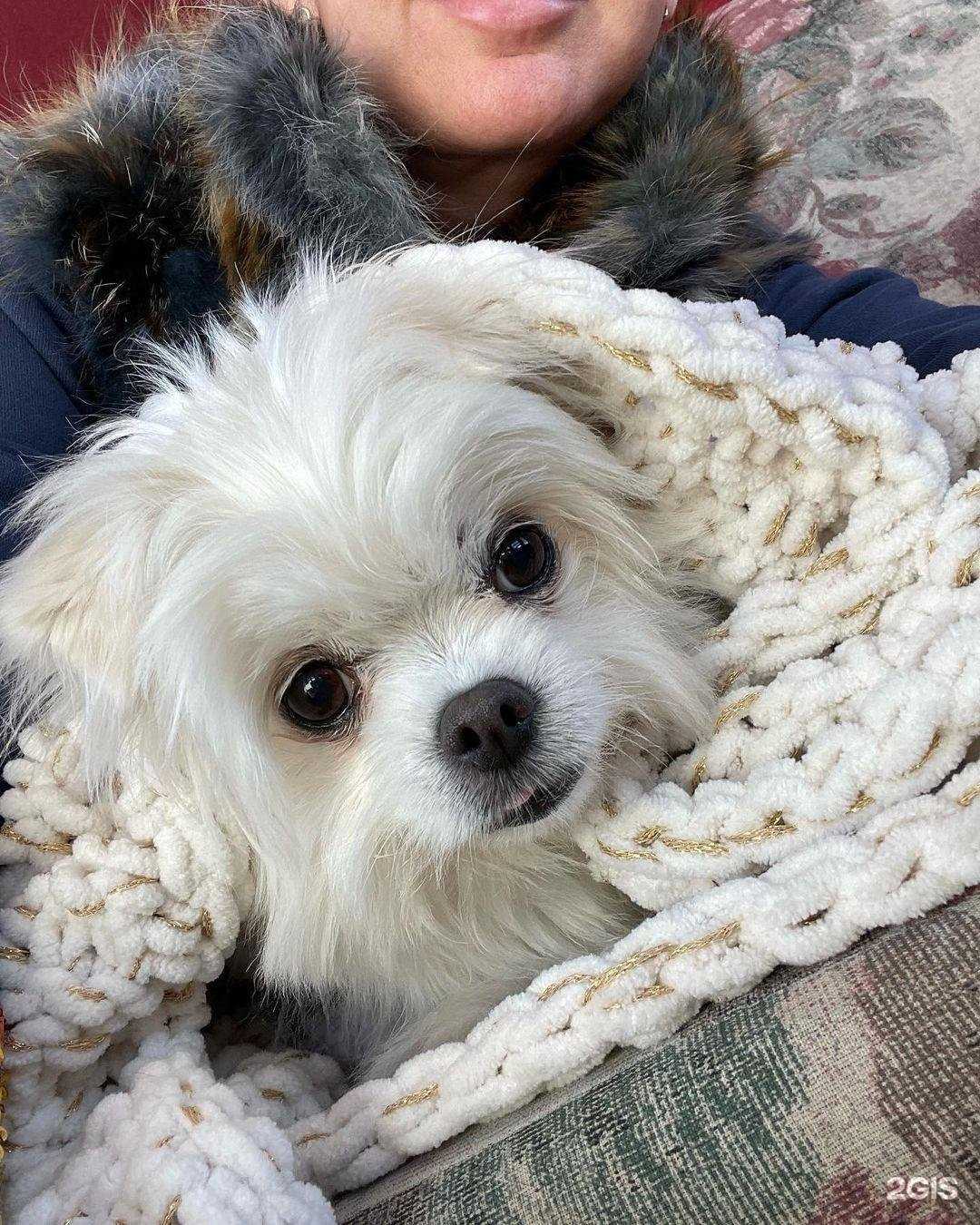 Отзывы на компанию Lorelen в Южно-Сахалинске c фото