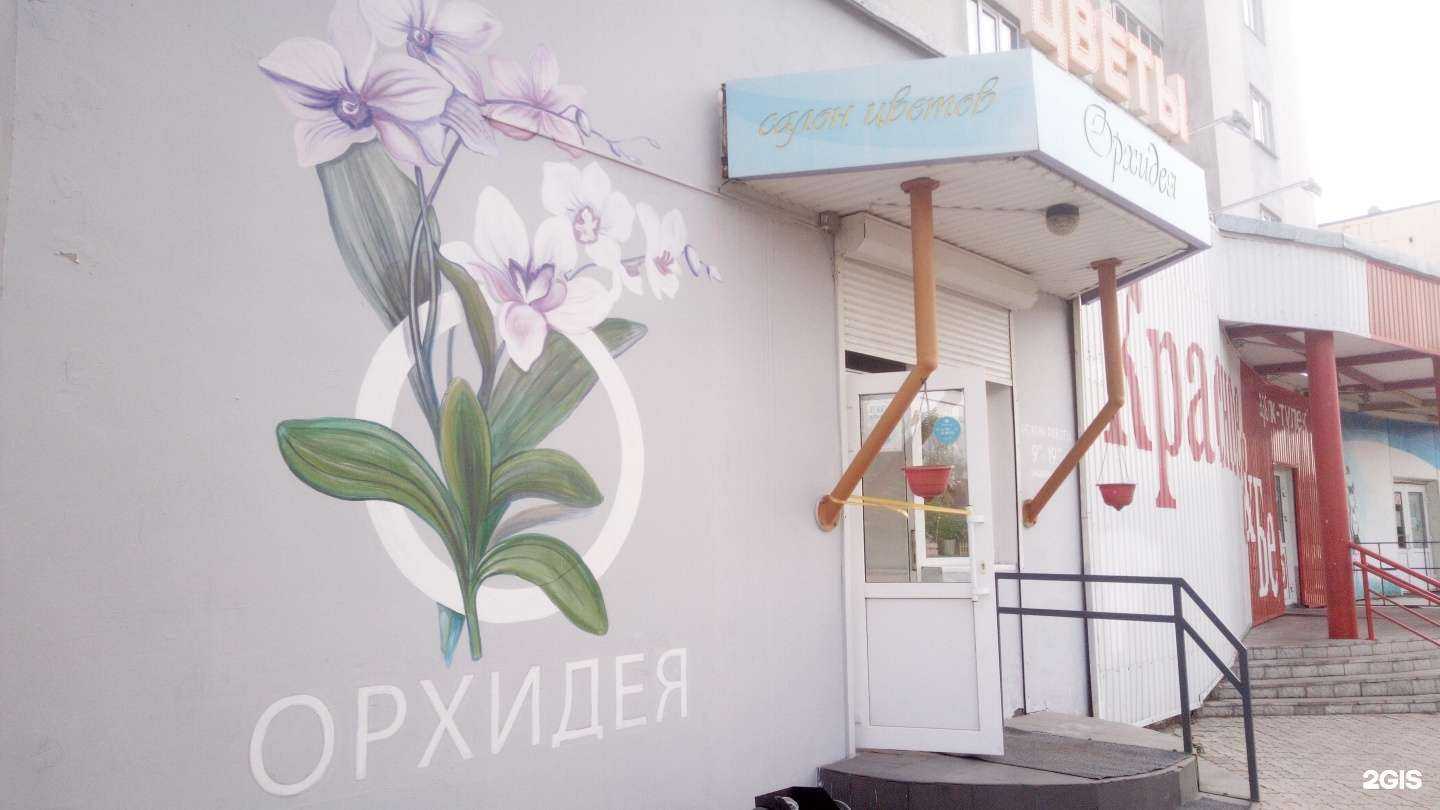 Отзывы на компанию Орхидея в Салавате c фото