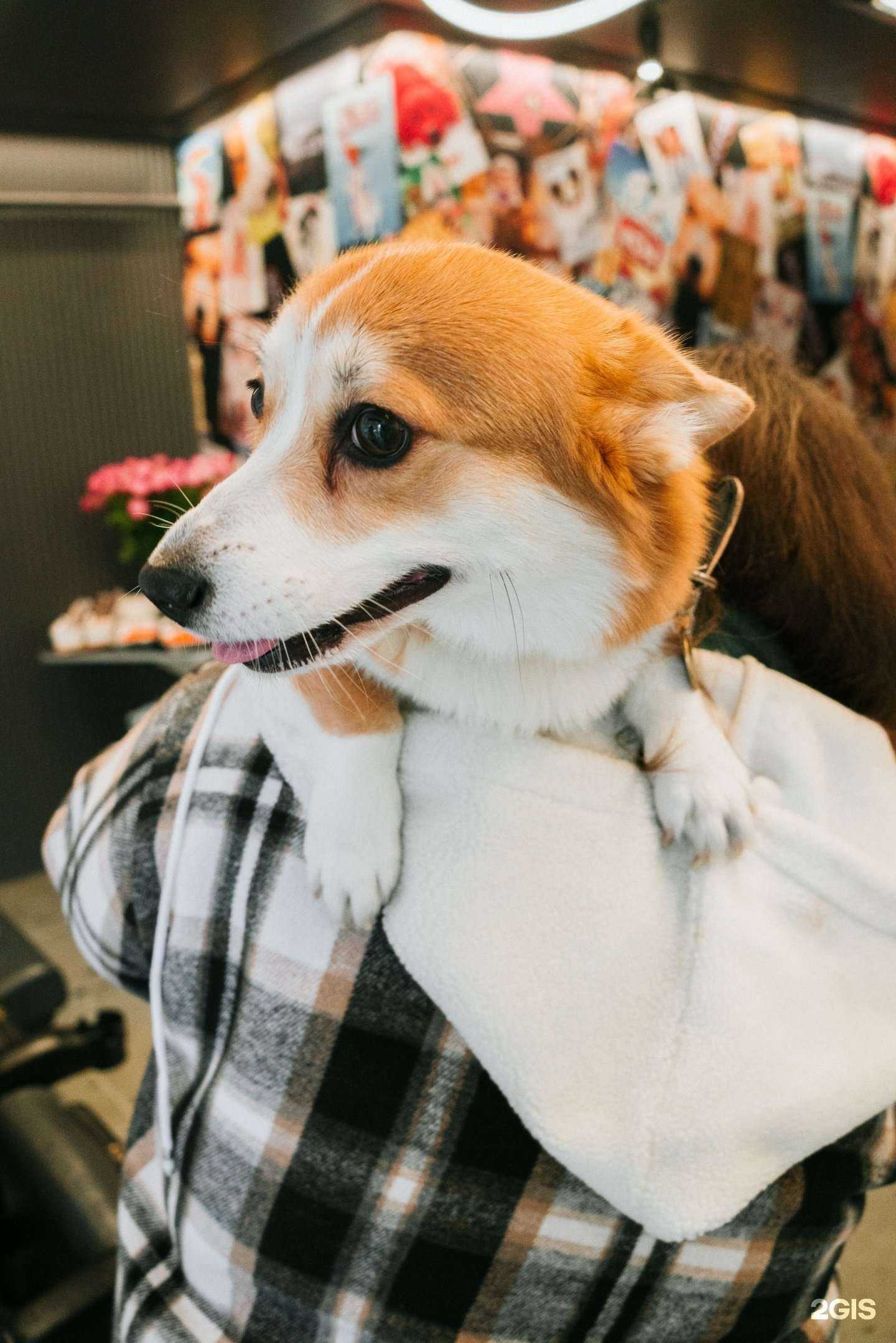 Отзывы на компанию Шелби и Кэрри в г. Сочи c фото