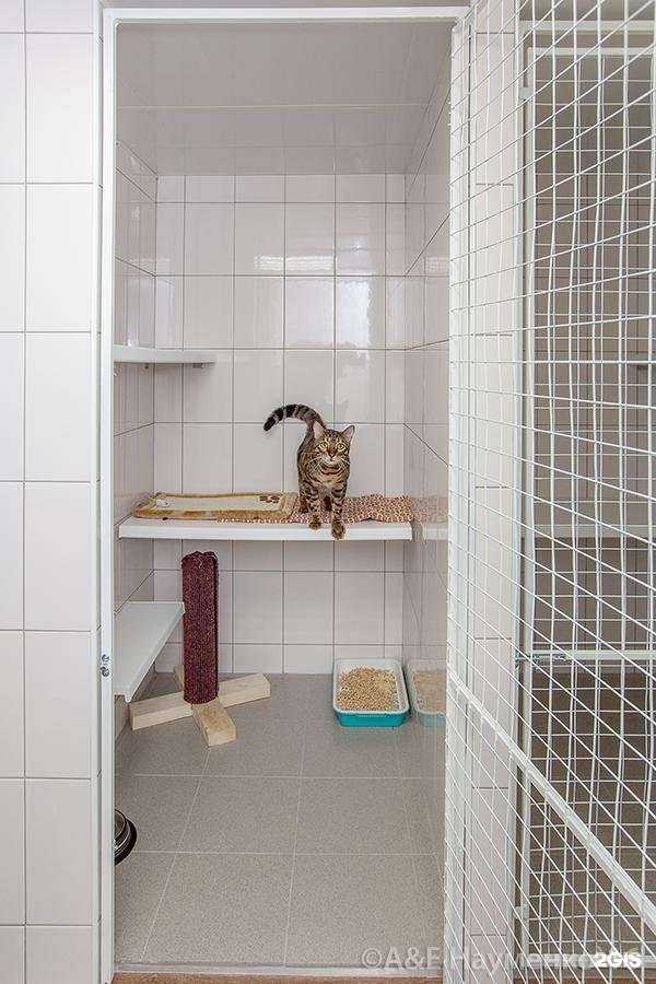 Отзывы на компанию Котофей в г. Ярославль c фото