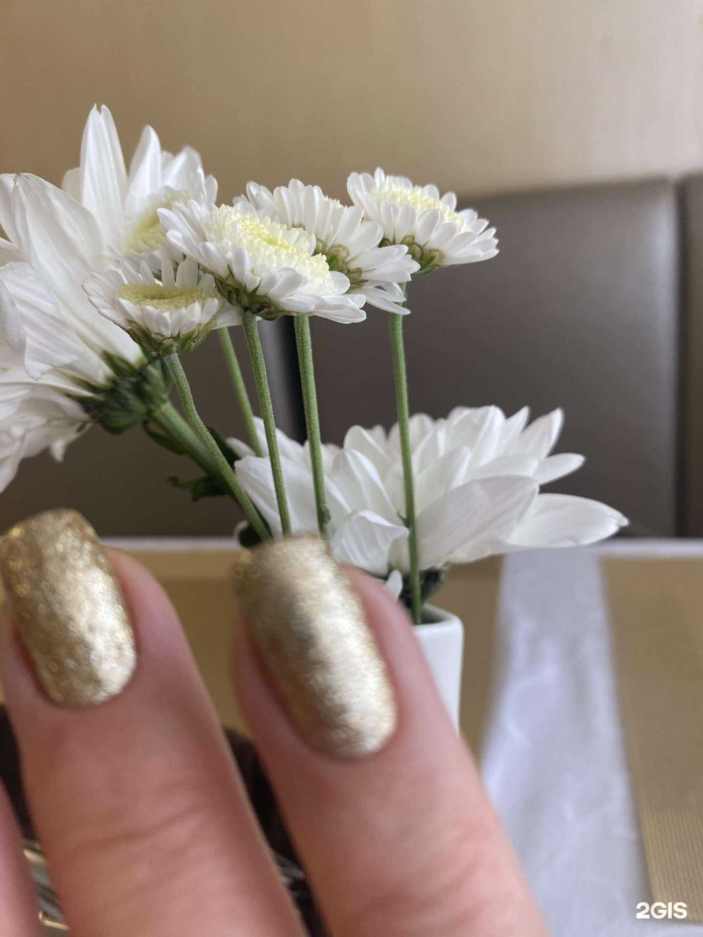 Отзывы на компанию Beauty in studio в Томске c фото