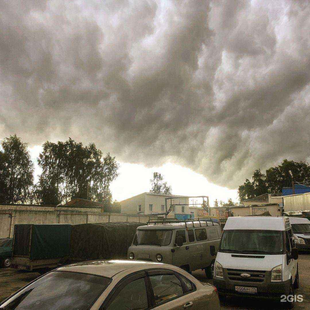 Отзывы на компанию Подорожник в Сыктывкаре c фото