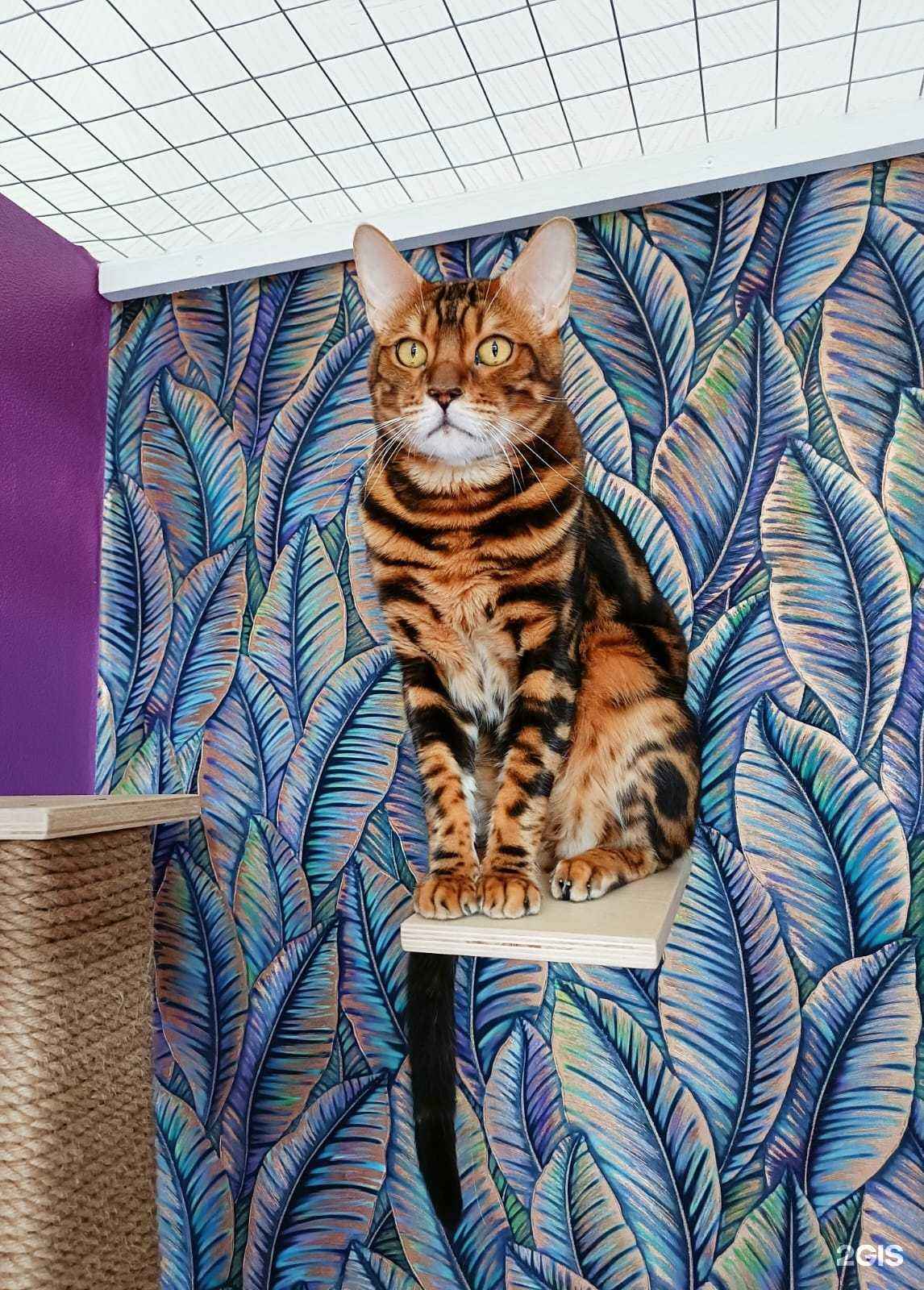 Отзывы на компанию Коттедж в г. Омск c фото