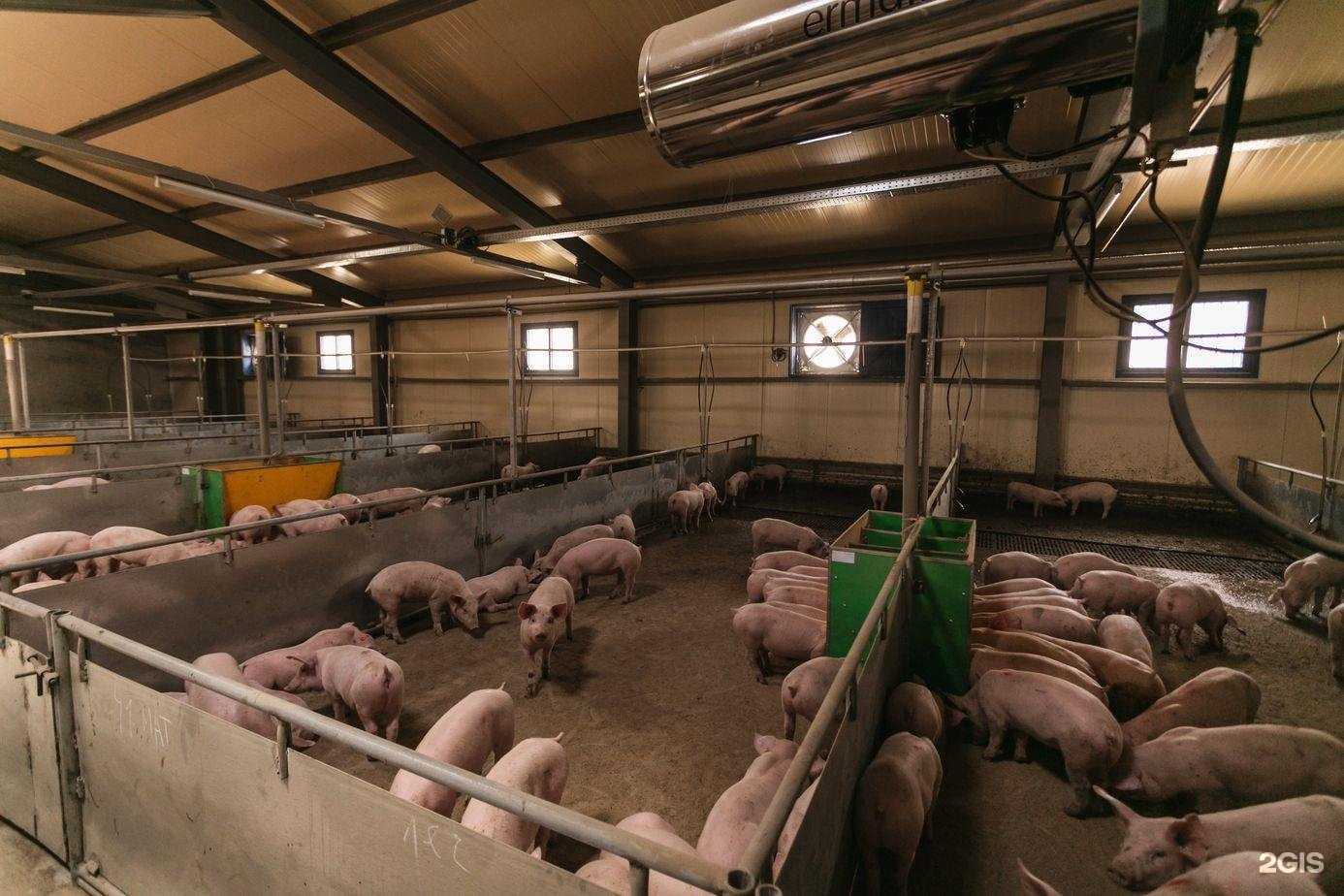 Отзывы на компанию Согласие в г. Ялуторовск c фото