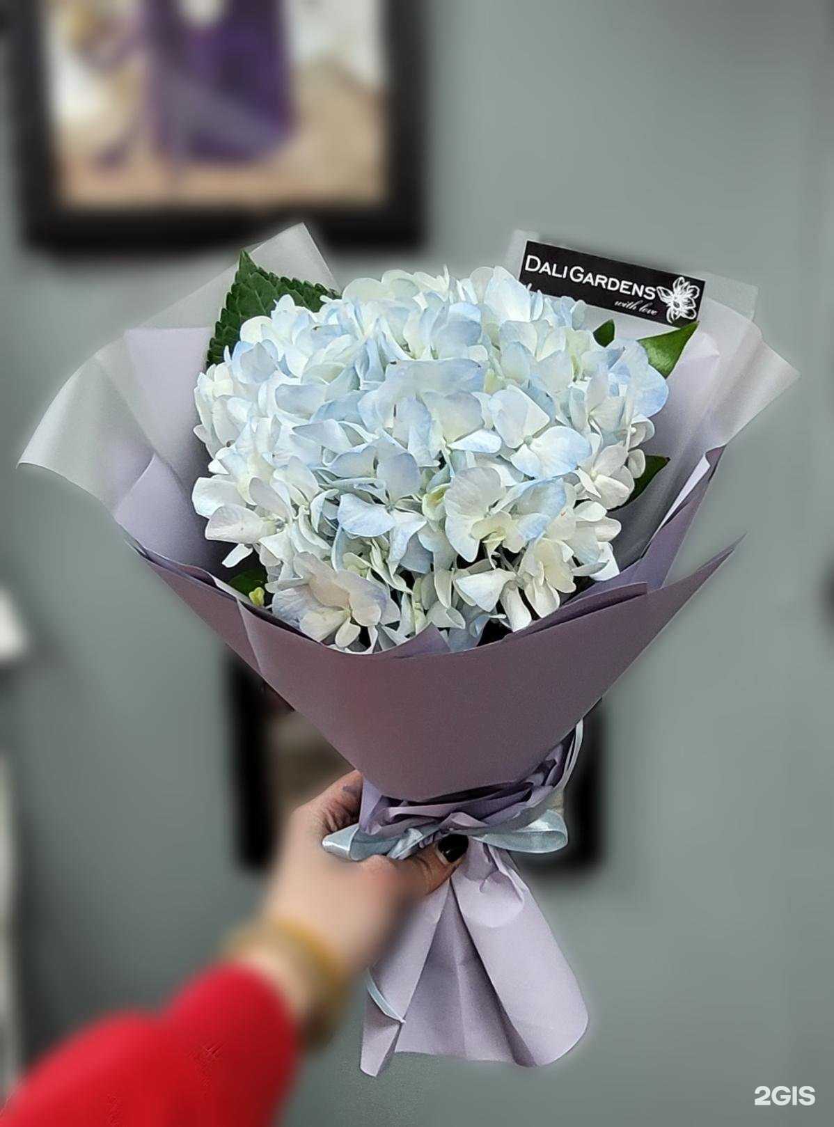 Отзывы на компанию Dali gardens в г. Краснодар c фото