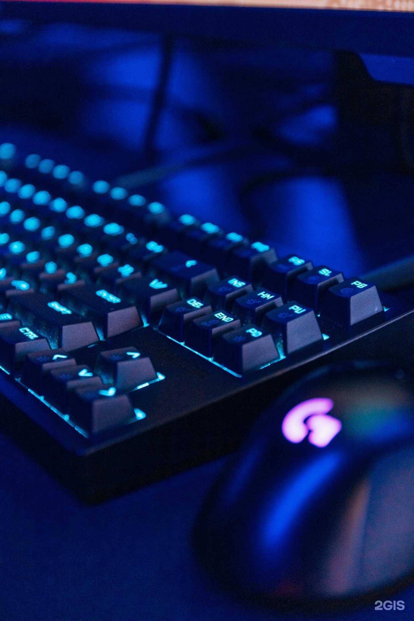 Отзывы на компанию Vertical Cyber Club  в г. Пенза c фото