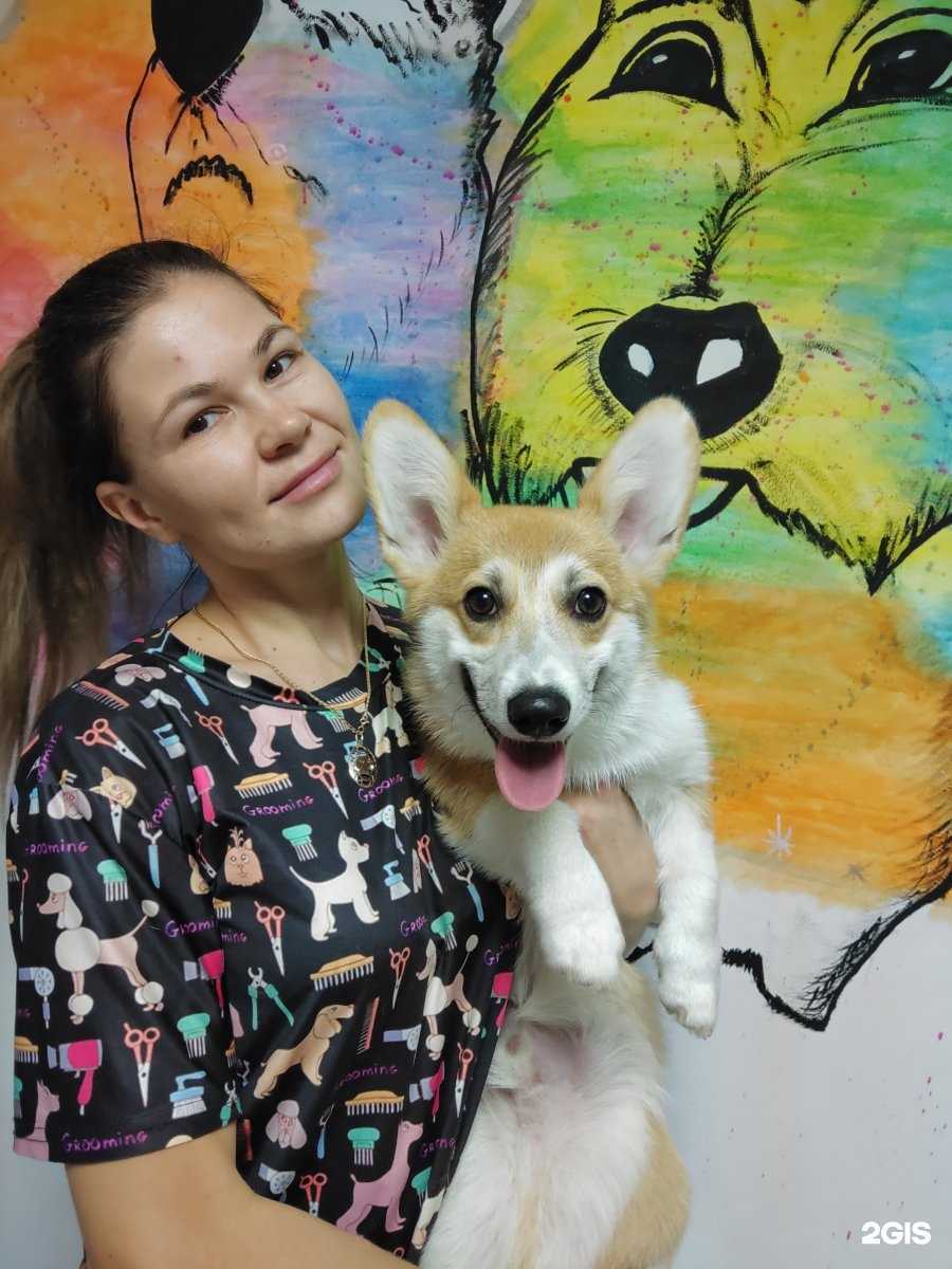 Отзывы на компанию Элвис в г. Новороссийск c фото