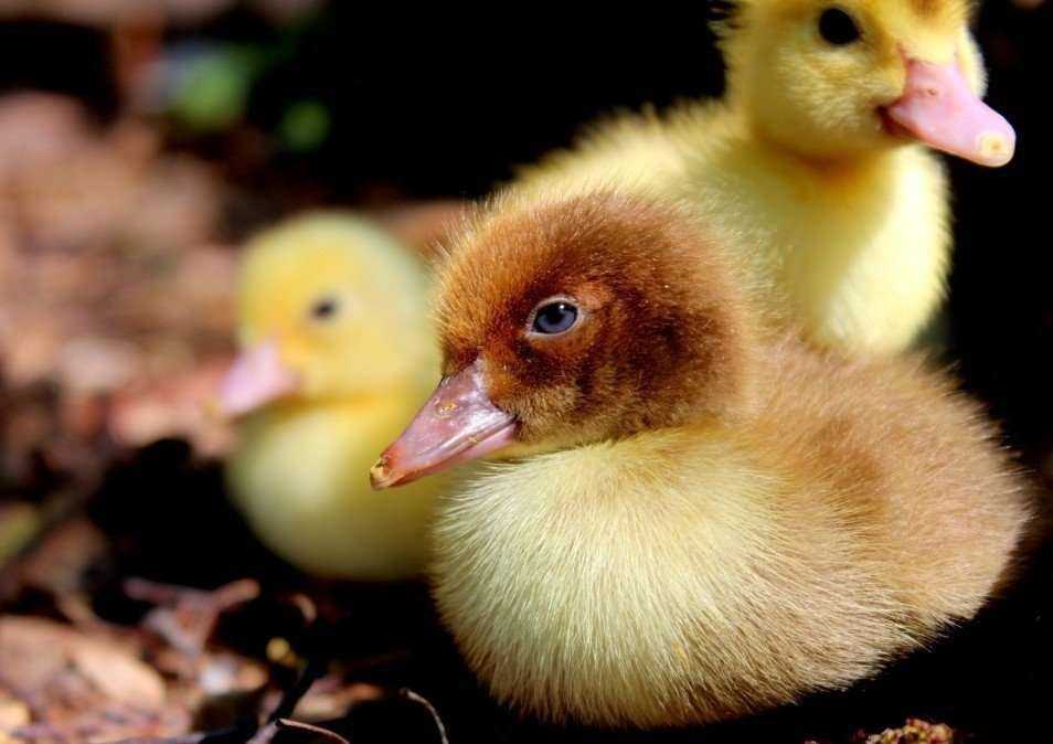 Отзывы на компанию Свердловская в Екатеринбурге c фото