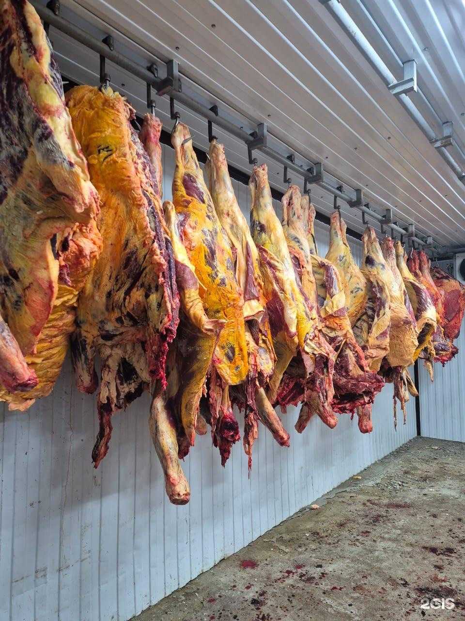 Отзывы на компанию Березовская мясная торговая компания в г. Красноярск c фото