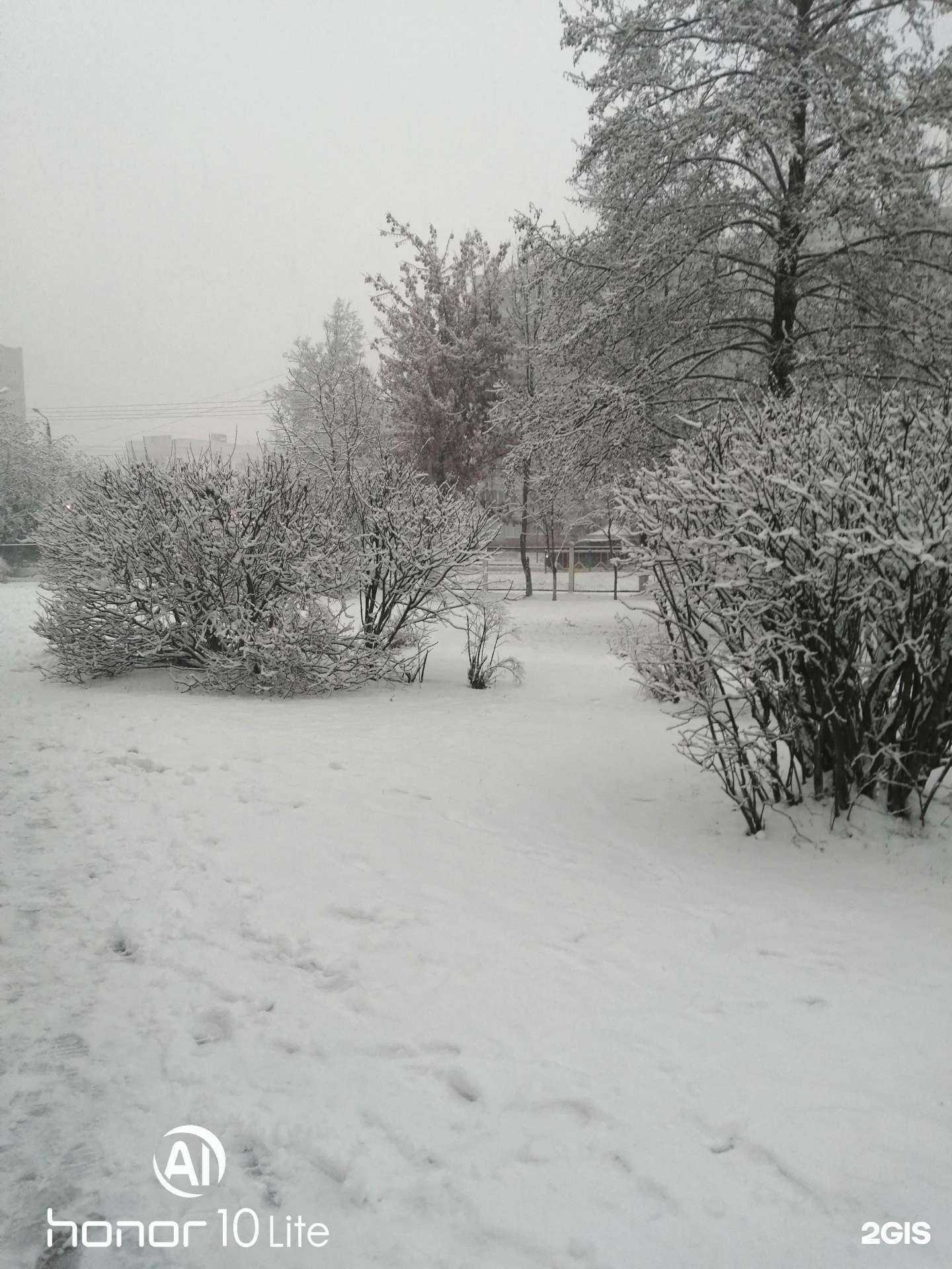 Отзывы на компанию Средняя школа №61 в г. Брянск c фото