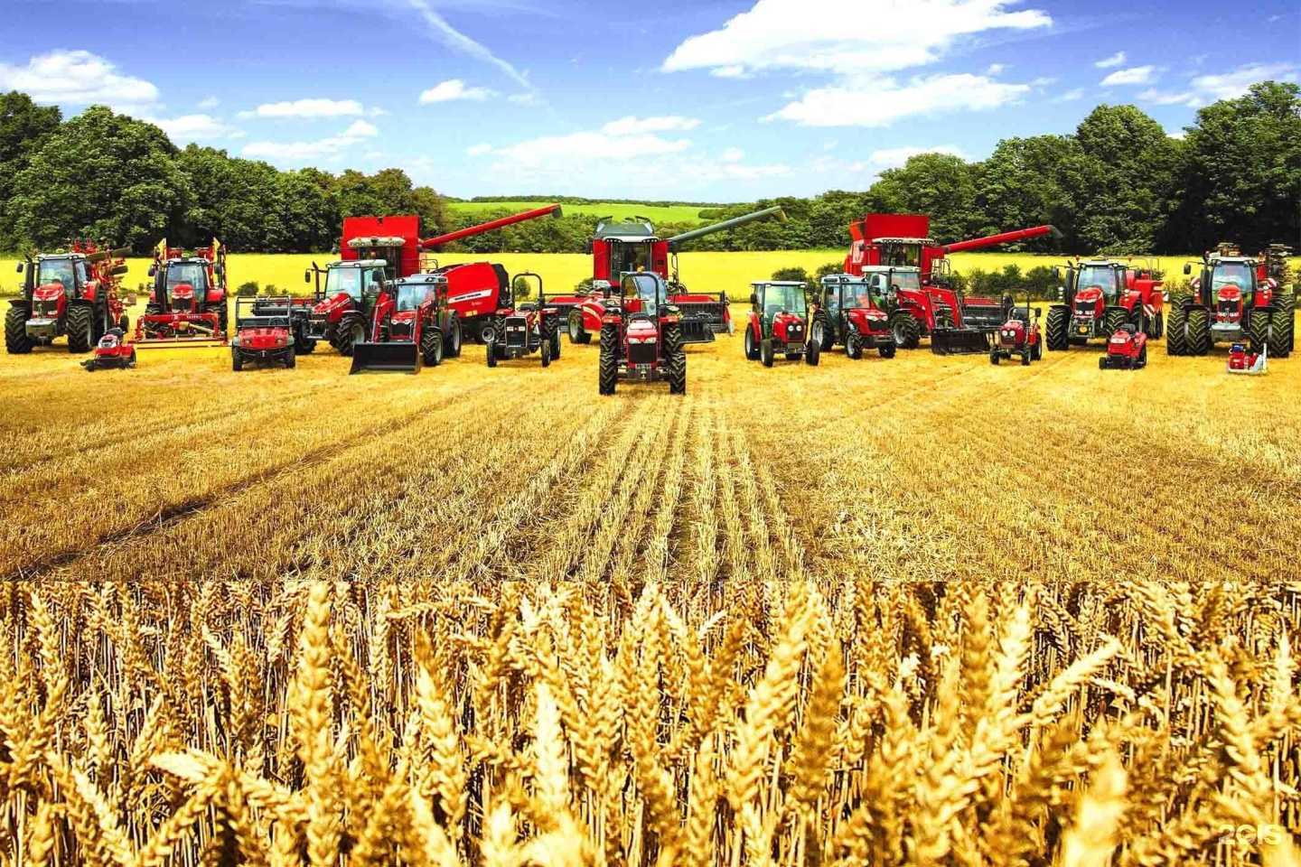 Отзывы на компанию Агрофактор в Липецке c фото