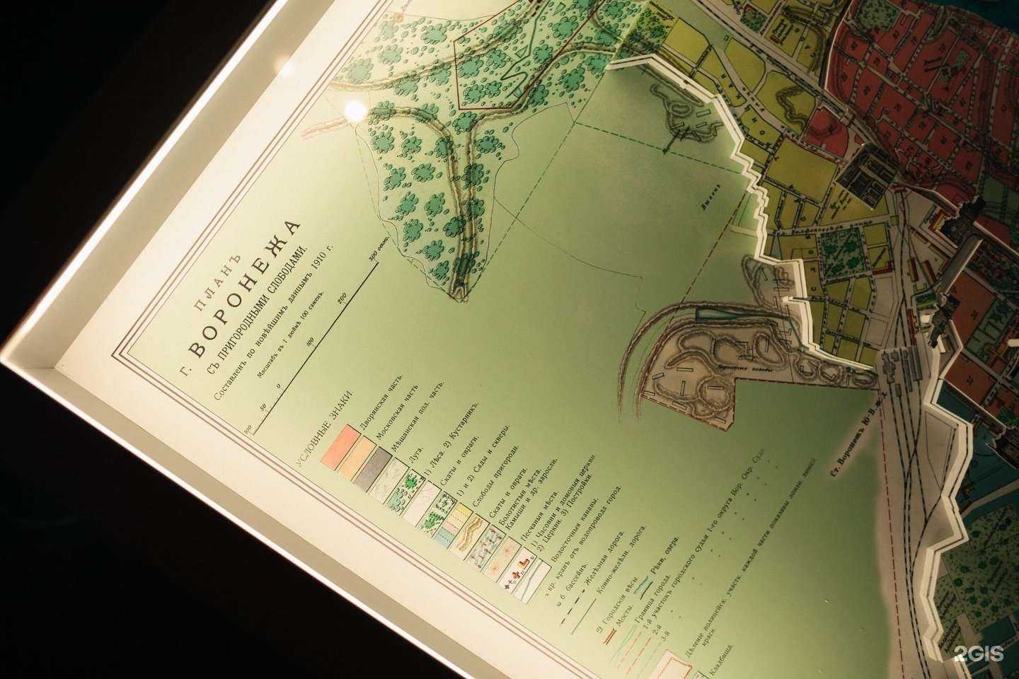 Отзывы на компанию Рыжая зебра в Воронеже c фото