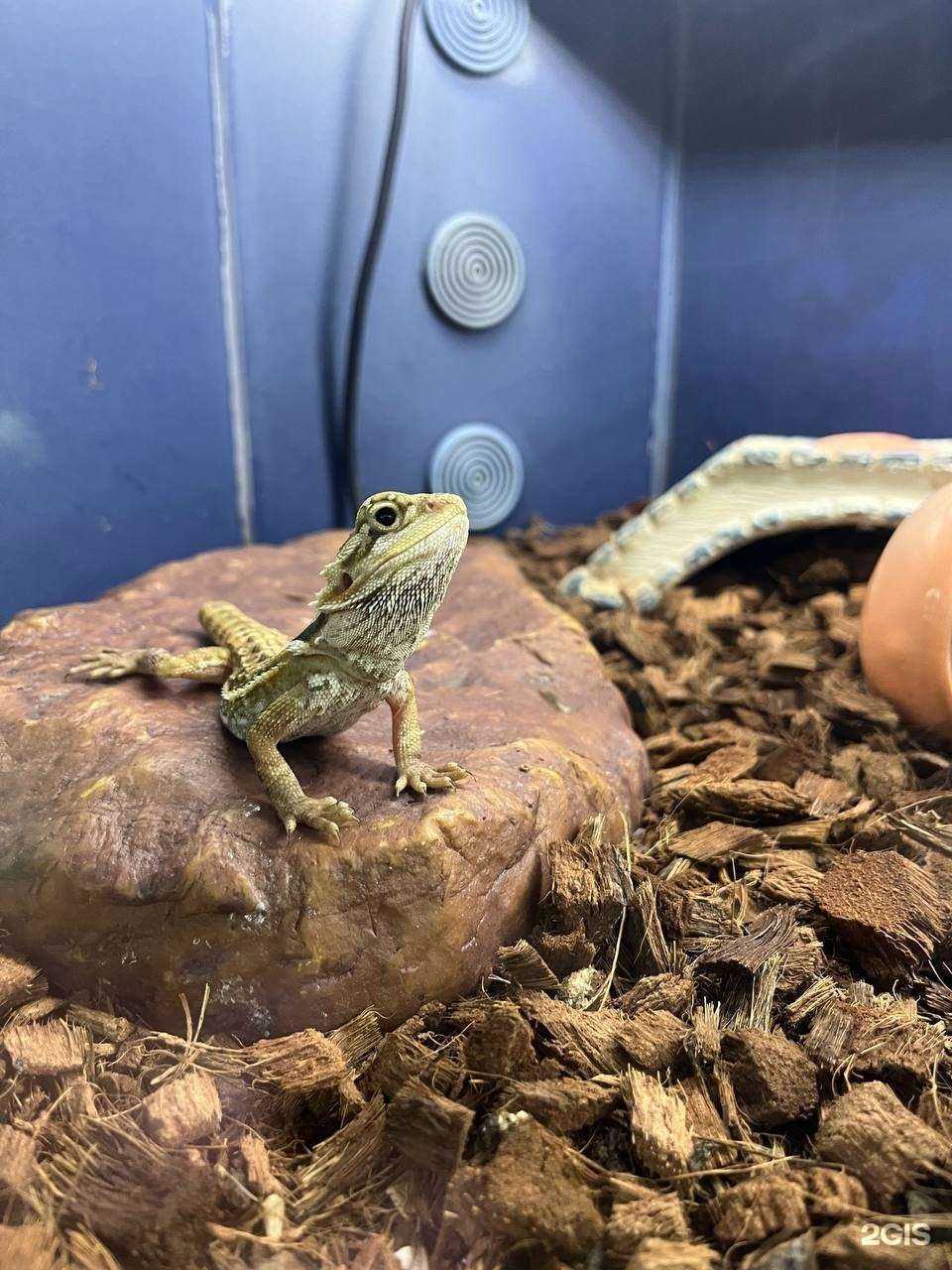 Отзывы на компанию Zooсфера в г. Пермь c фото