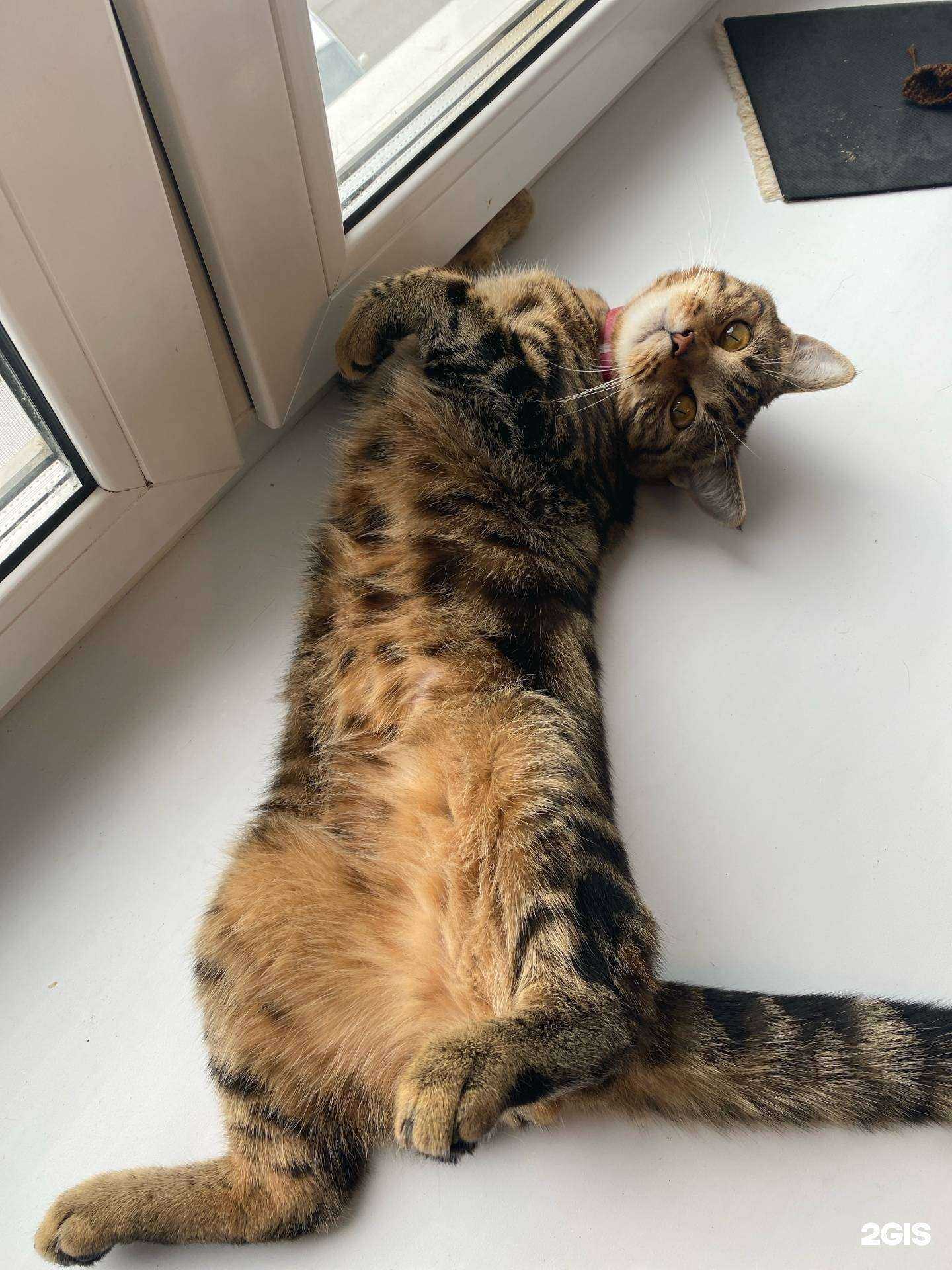 Отзывы на компанию Призвание в Тюмени c фото