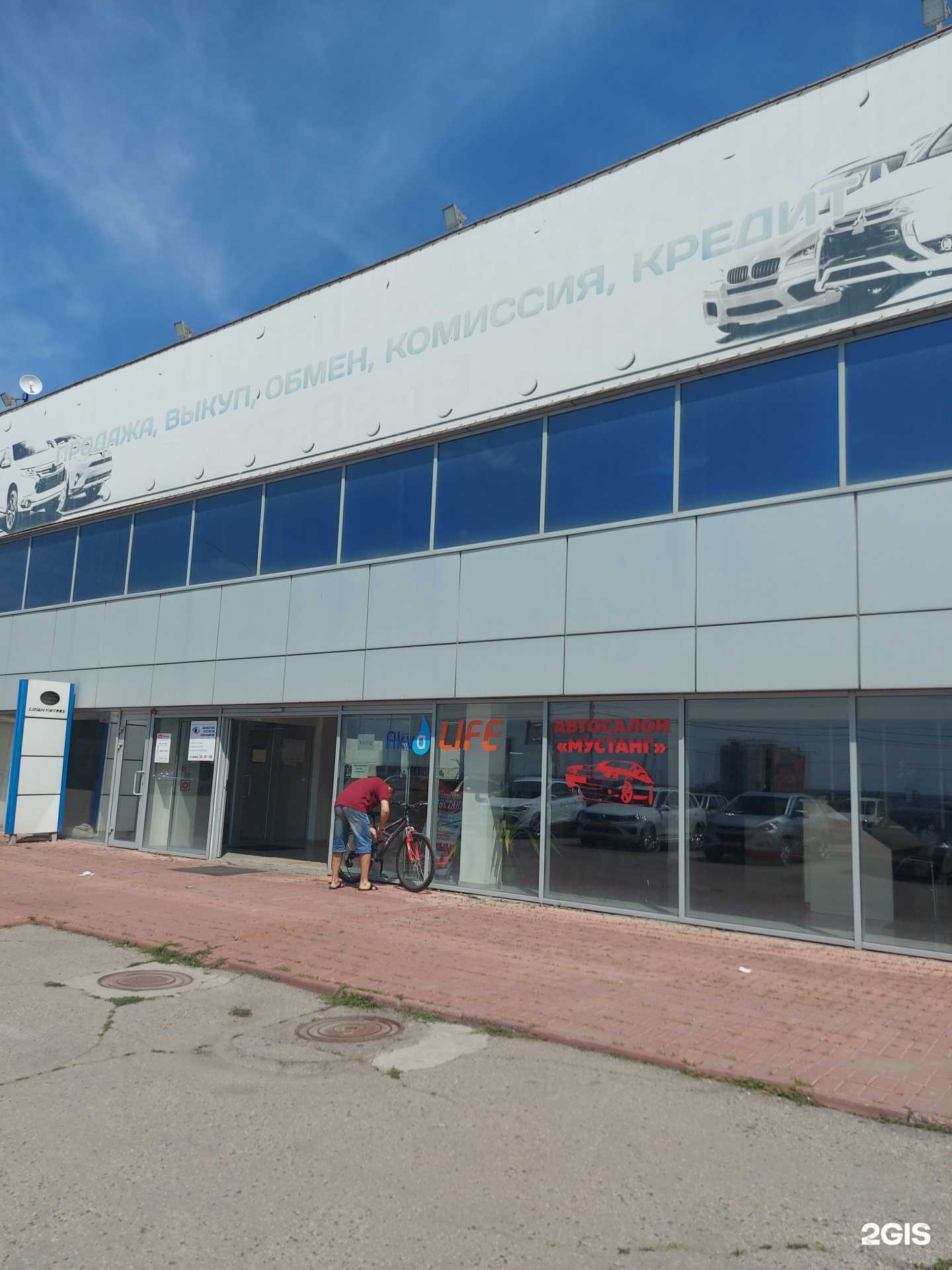 Отзывы на компанию Мустанг в Саратове c фото