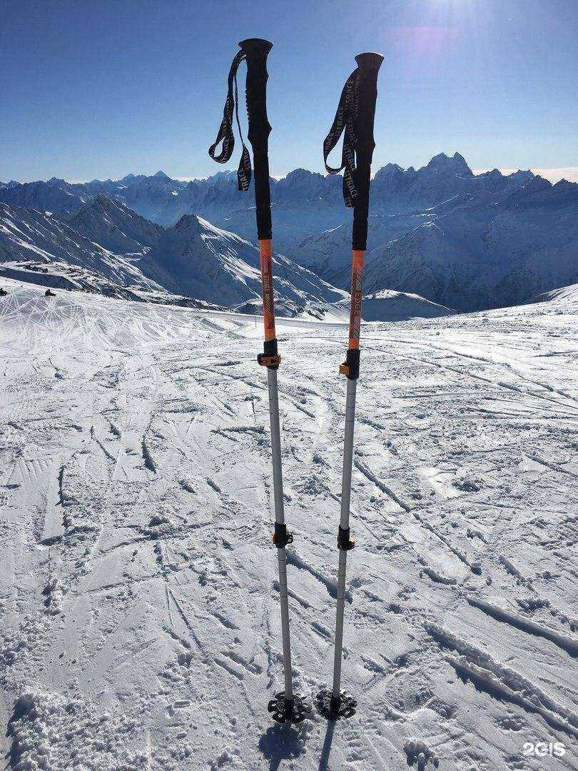 Отзывы на компанию Примус в Пятигорске c фото