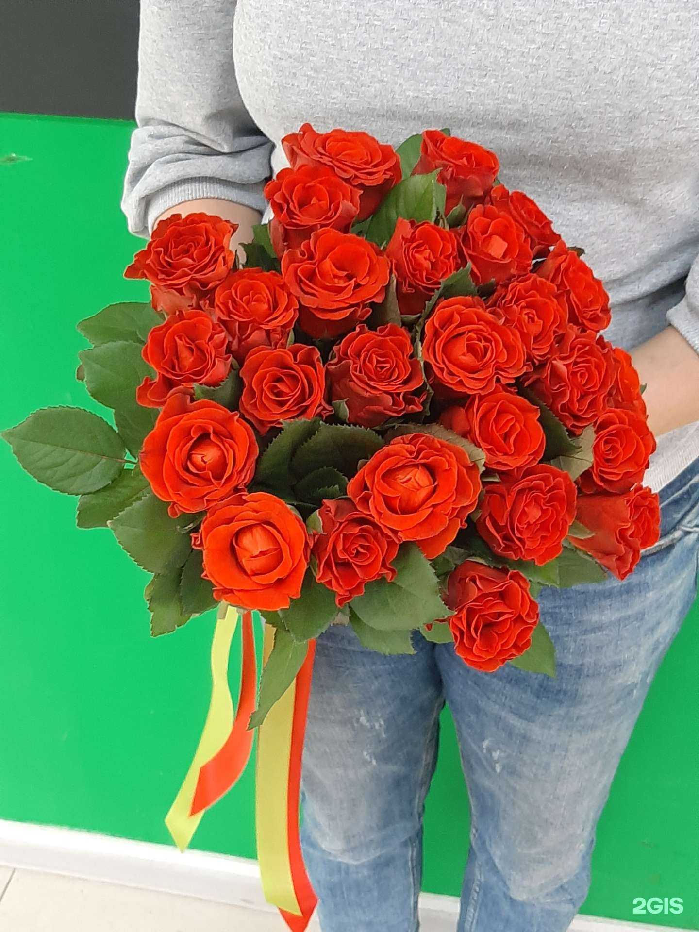 Отзывы на компанию Розы Белогорья в Белгороде c фото