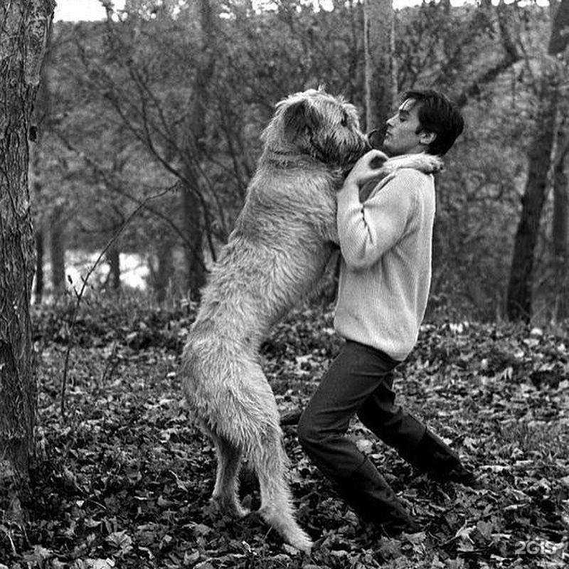 Отзывы на компанию Ветеринарная клиника в Сертолове c фото