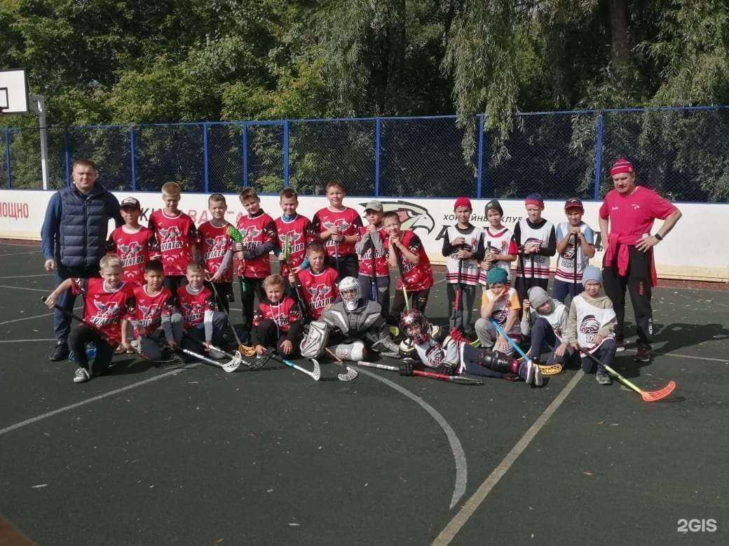 Отзывы на компанию Авиатор в Омске c фото