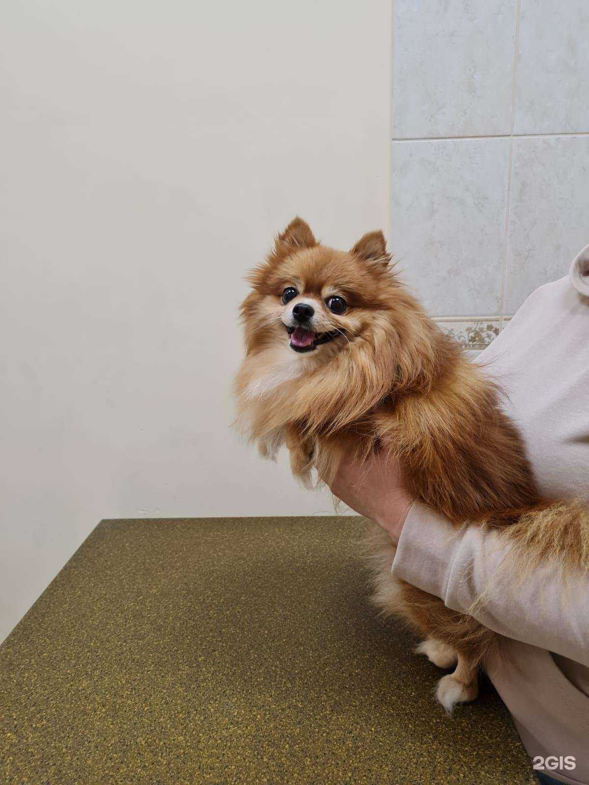 Отзывы на компанию Томас в Омске c фото