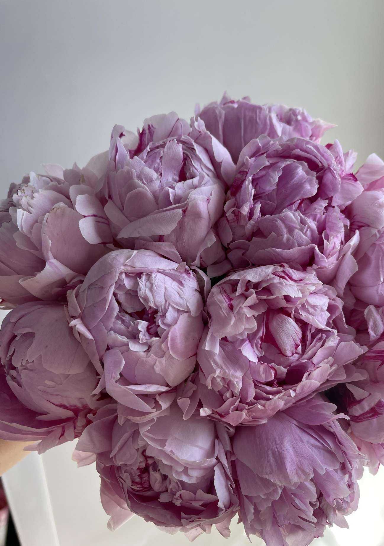 Отзывы на компанию Цветочный домик в Омске c фото