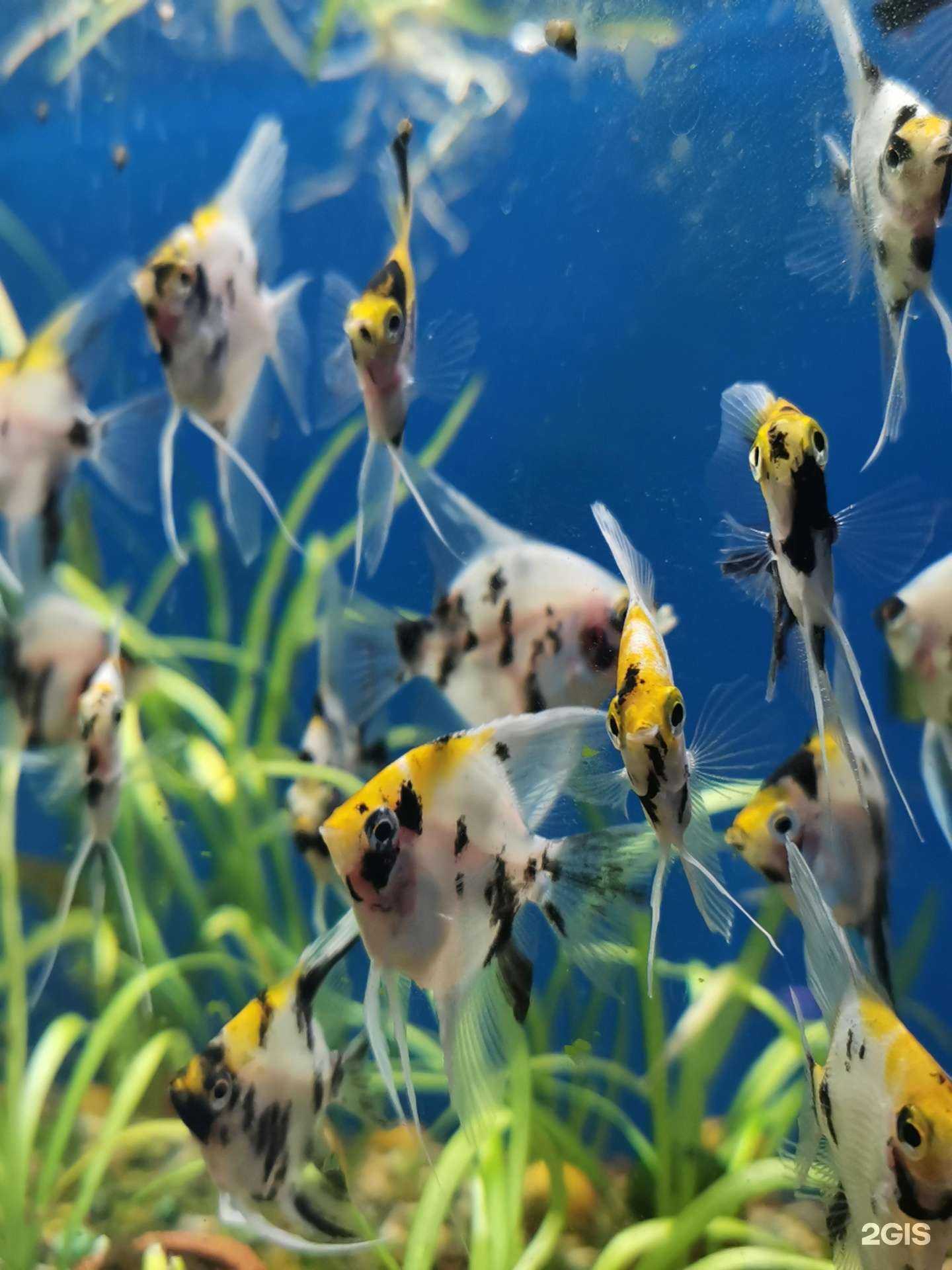 Отзывы на компанию Арована в г. Южно-Сахалинск c фото