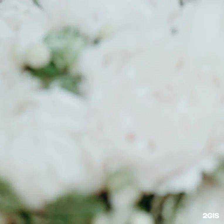 Отзывы на компанию Studio love story в Старом Осколе c фото