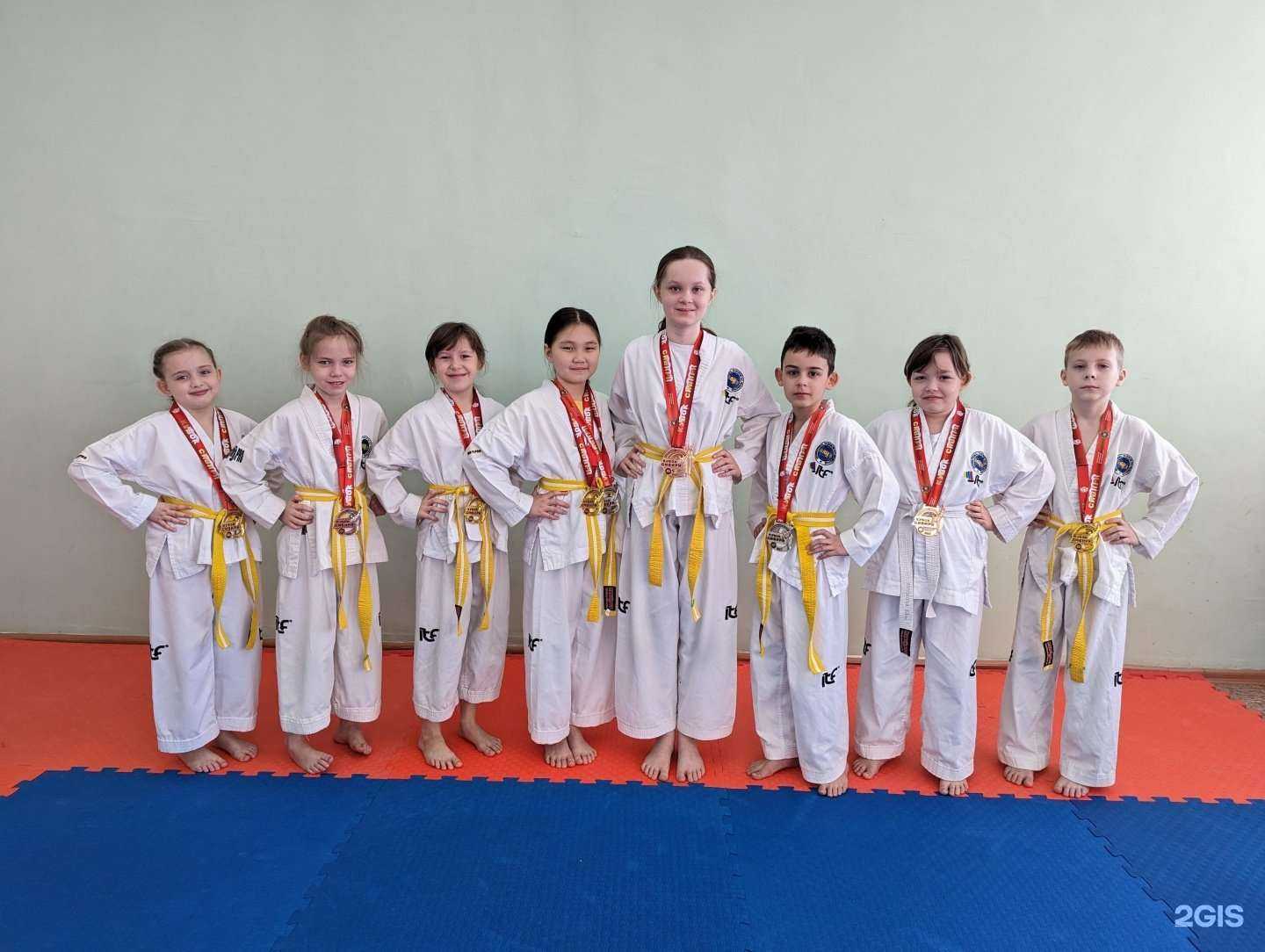 Отзывы на компанию Федерация тхэквондо МФТ Омской области в Омске c фото