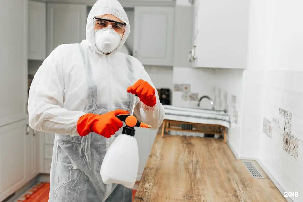 Отзывы на компанию Служба дезинфекции в Екатеринбурге c фото