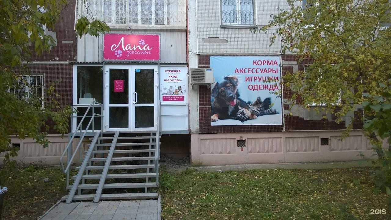 Отзывы на компанию Лапа в г. Пермь c фото