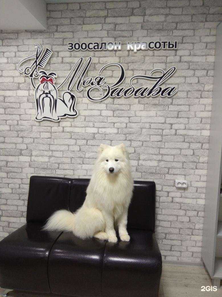 Отзывы на компанию Моя Забава в г. Чебоксары c фото