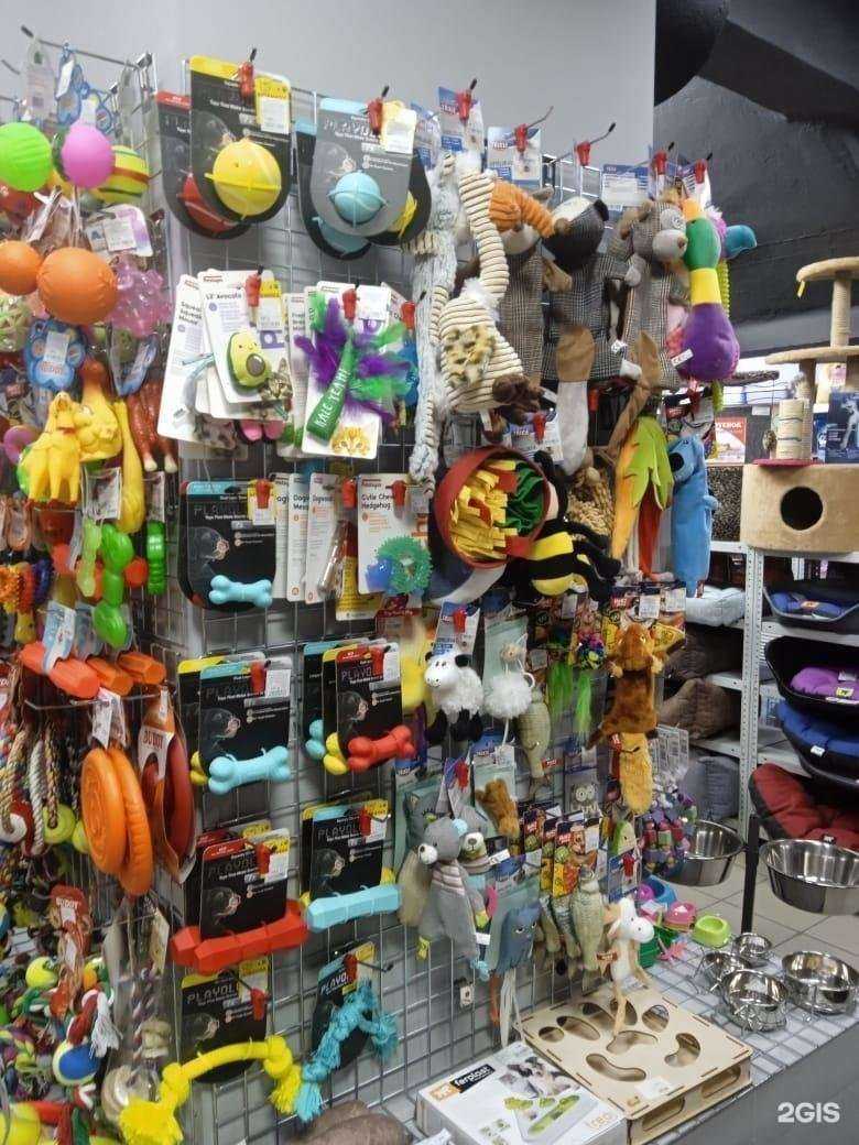 Отзывы на компанию Зоомаркет в г. Челябинск c фото