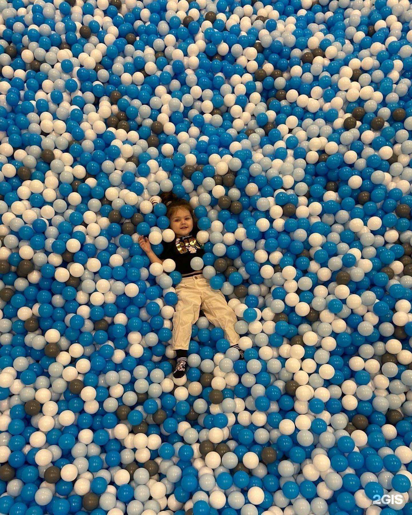 Отзывы на компанию Кото-мото в г. Краснодар c фото