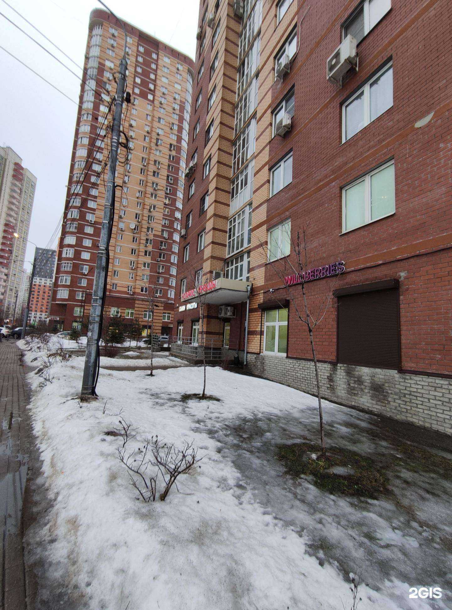 Отзывы на компанию Частная школа искусств в г. Химки c фото