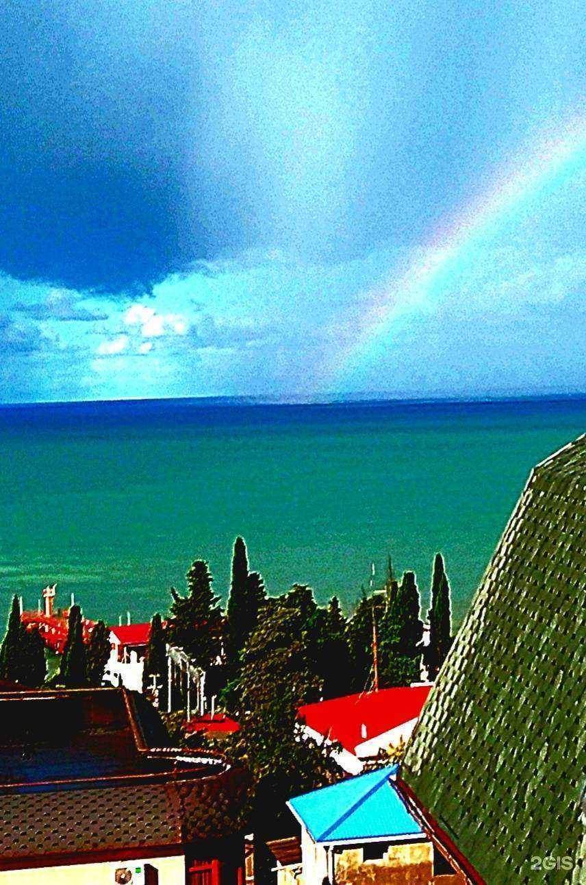 Отзывы на компанию 1000 роз в Сочи c фото