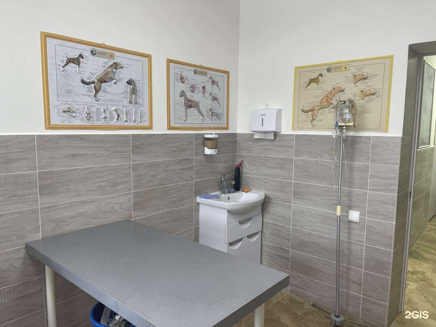 Отзывы на компанию Зоодоктор в Самаре c фото