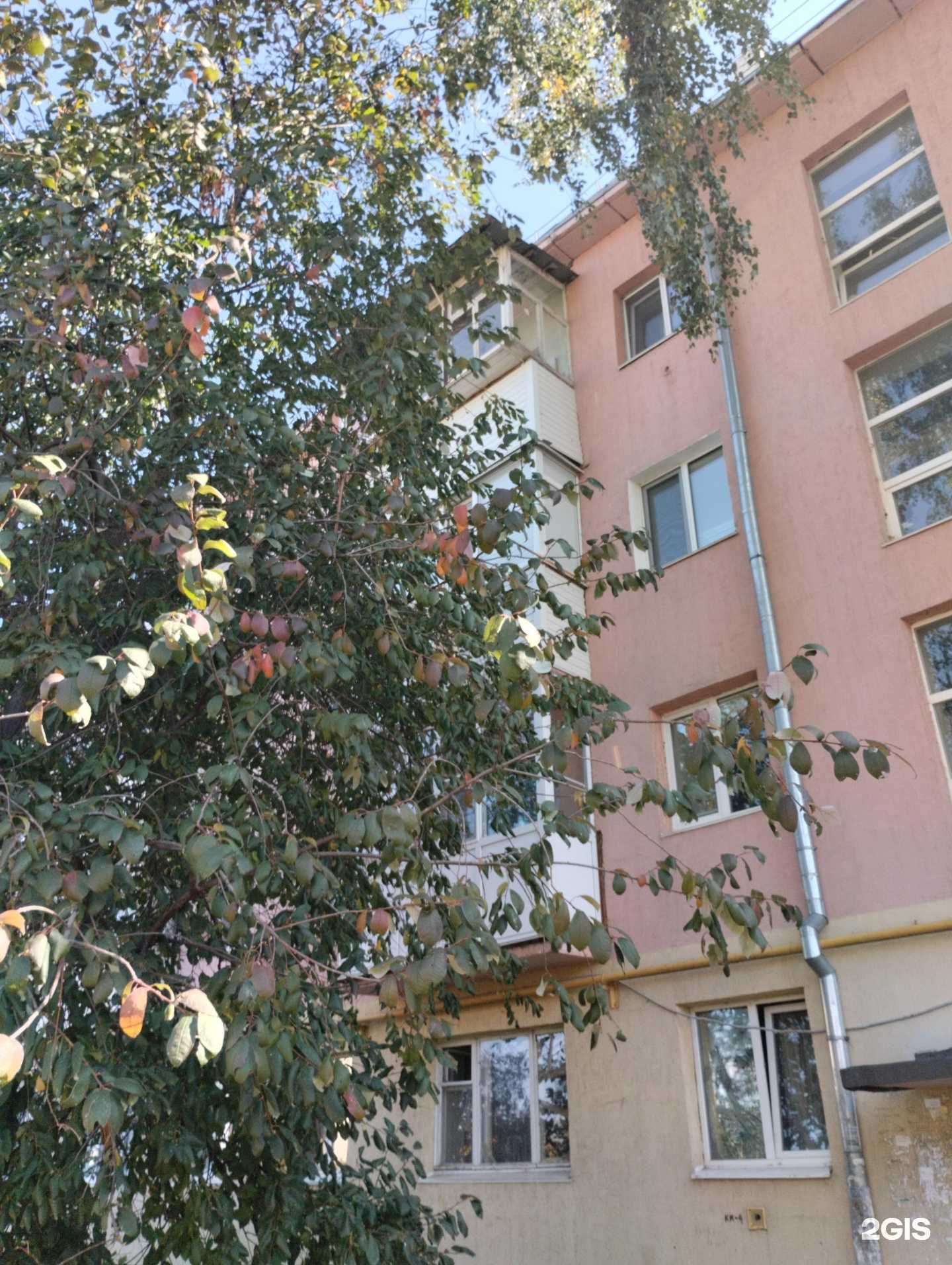 Отзывы на компанию Czar в Нефтекамске c фото - фотография 2 из 2