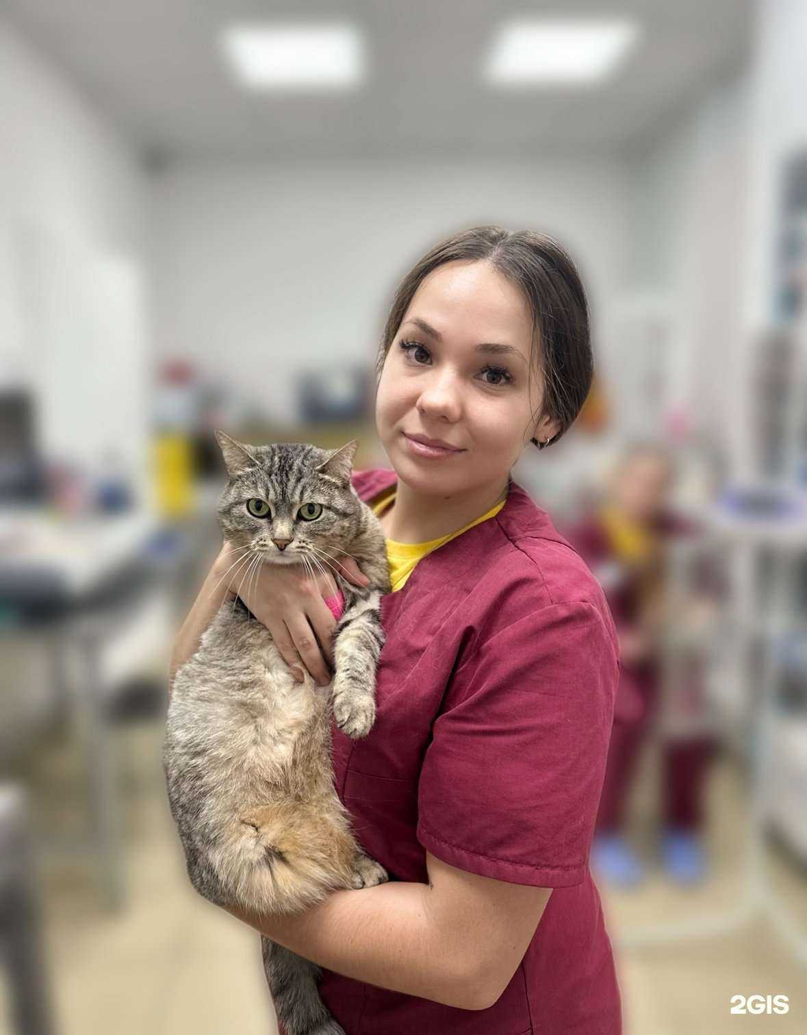 Отзывы на компанию Надежда в г. Пермь c фото