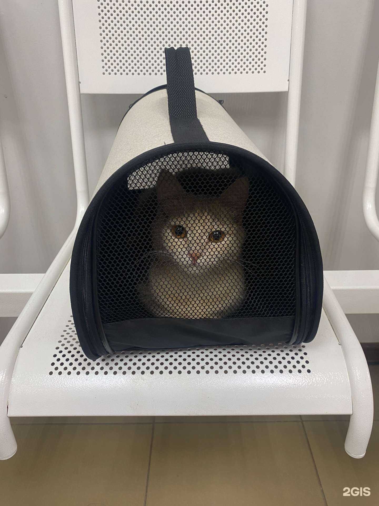 Отзывы на компанию Арника в Новосибирске c фото