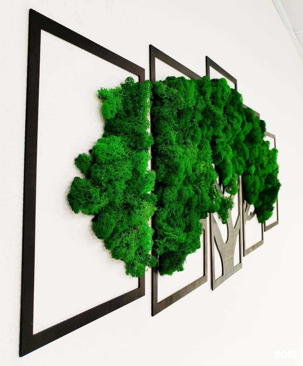 Отзывы на компанию Студия эстетики и стиля Екатерины Серебровой в Тюмени c фото