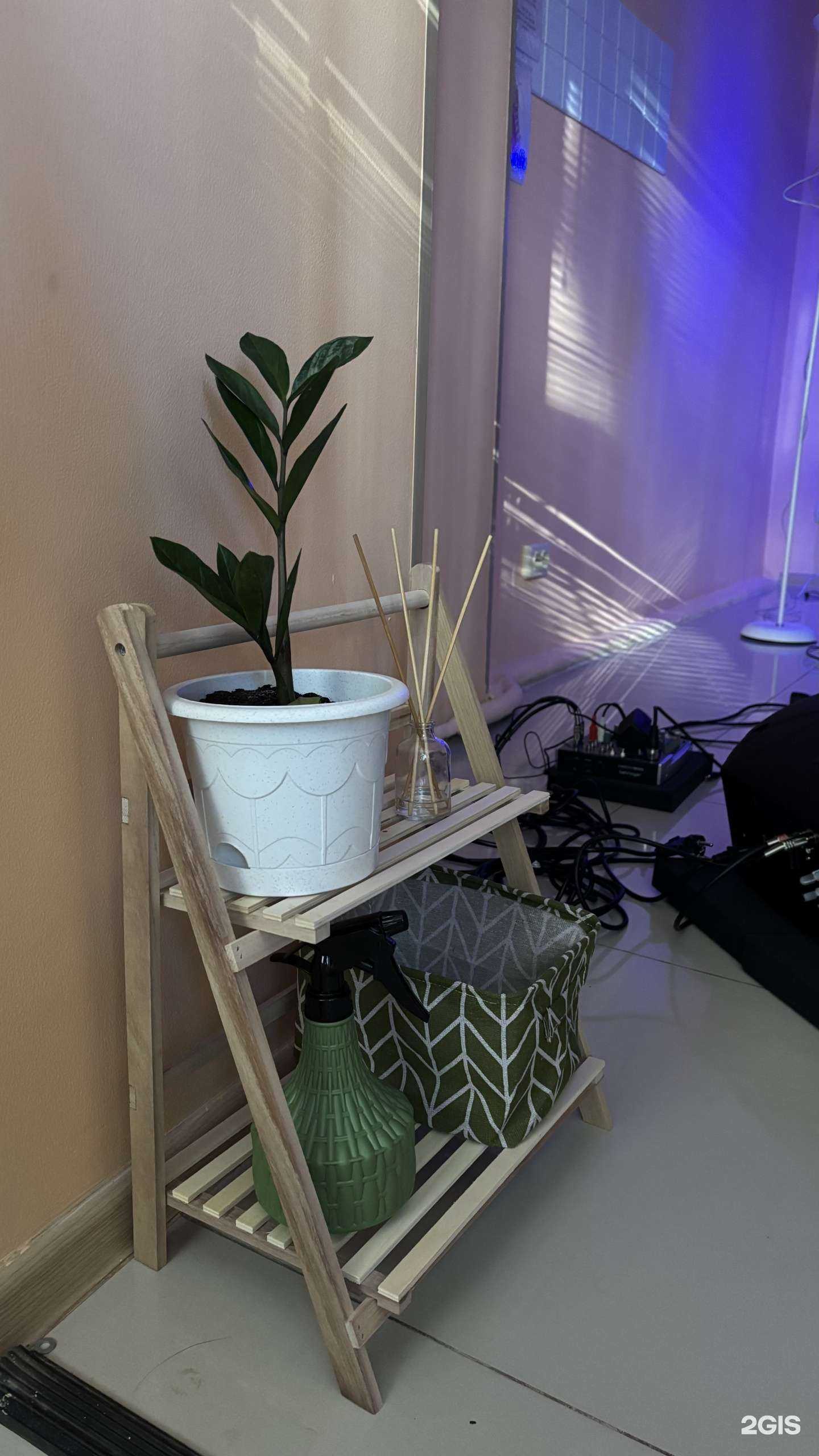 Отзывы на компанию Сад звука в г. Пятигорск c фото