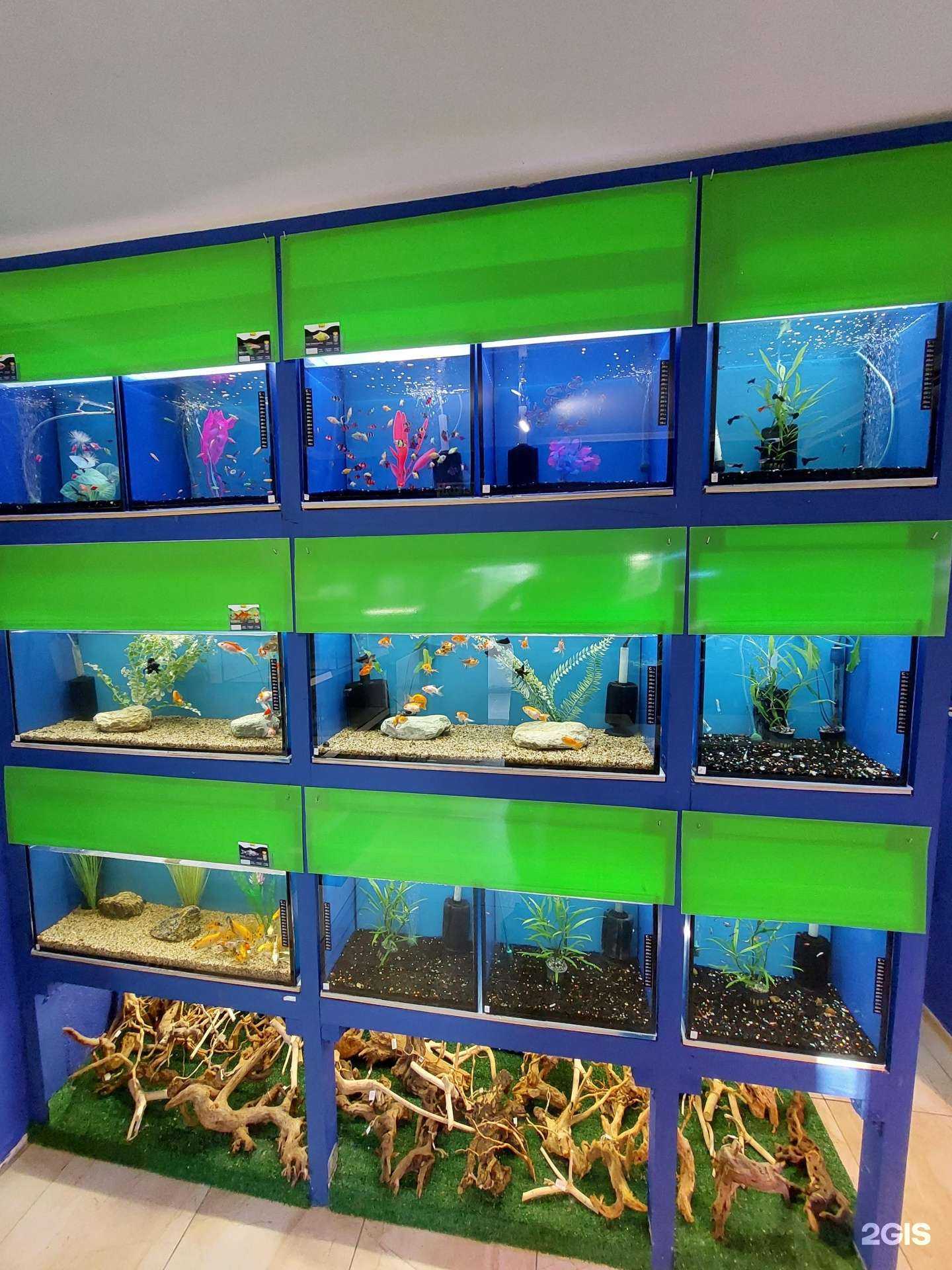 Отзывы на компанию Аквамир в г. Калининград c фото