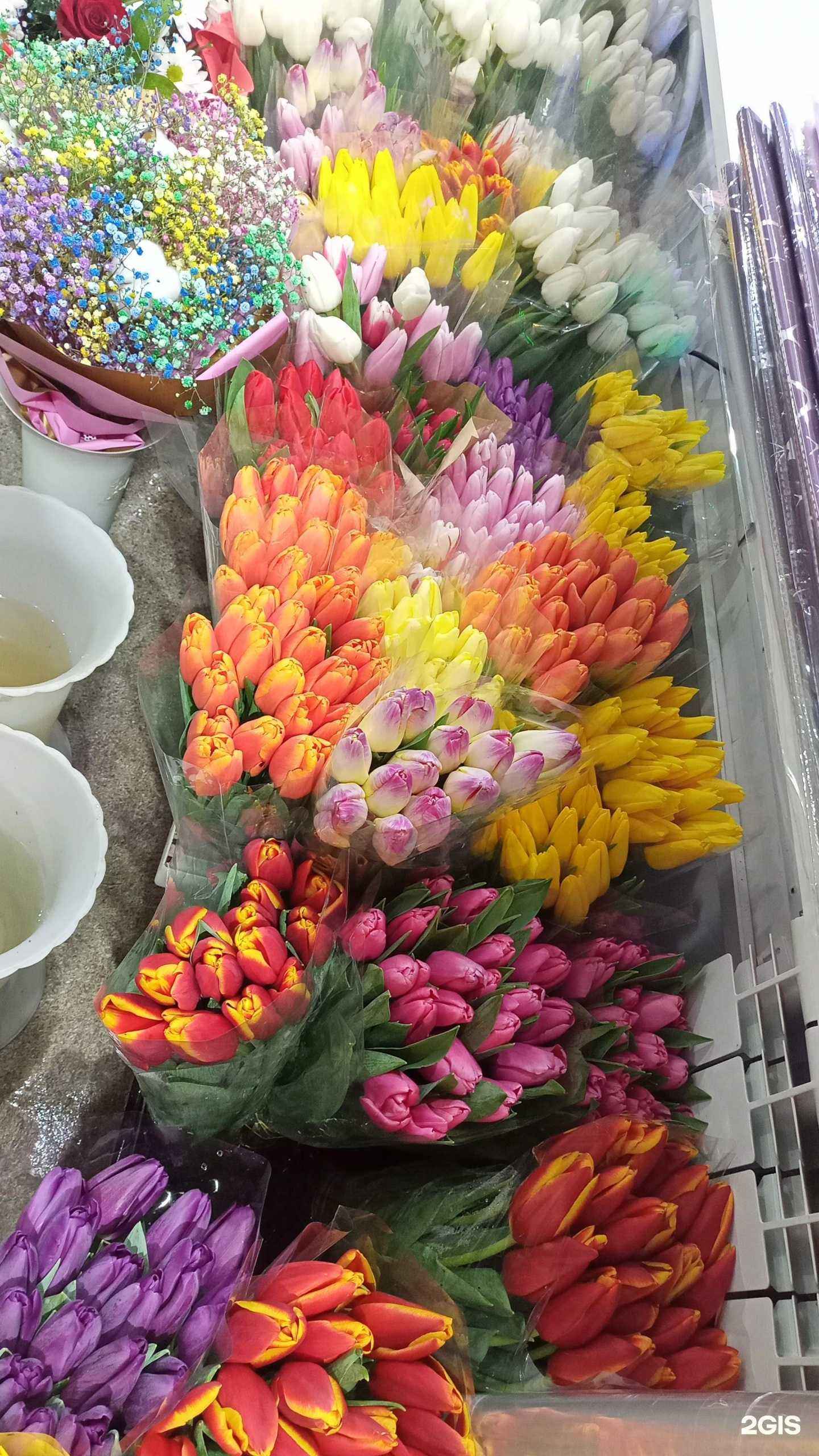 Отзывы на компанию Ромашка в Сургуте c фото