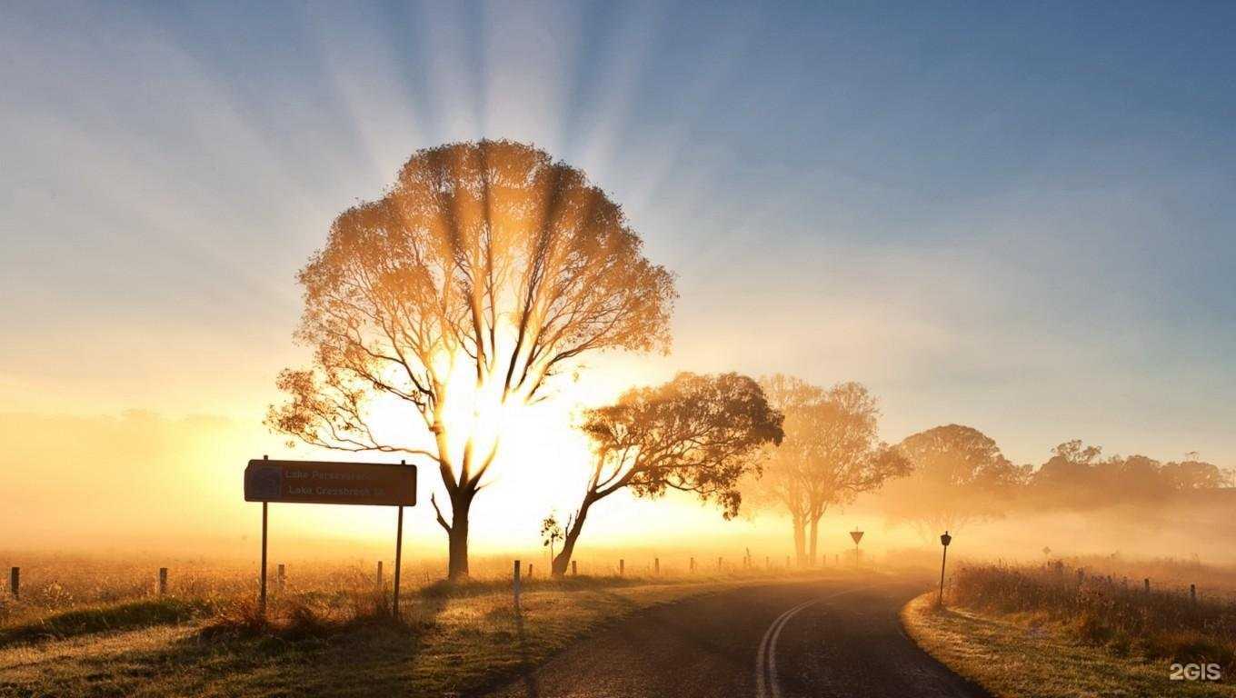 Отзывы на компанию Семья в Чебоксарах c фото