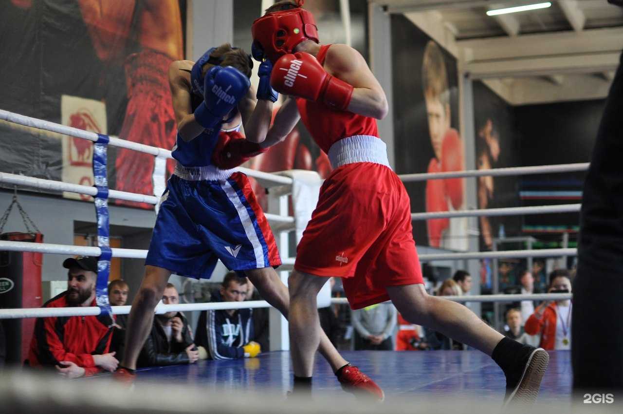 Отзывы на компанию Golden Fighter в Нижнем Новгороде c фото