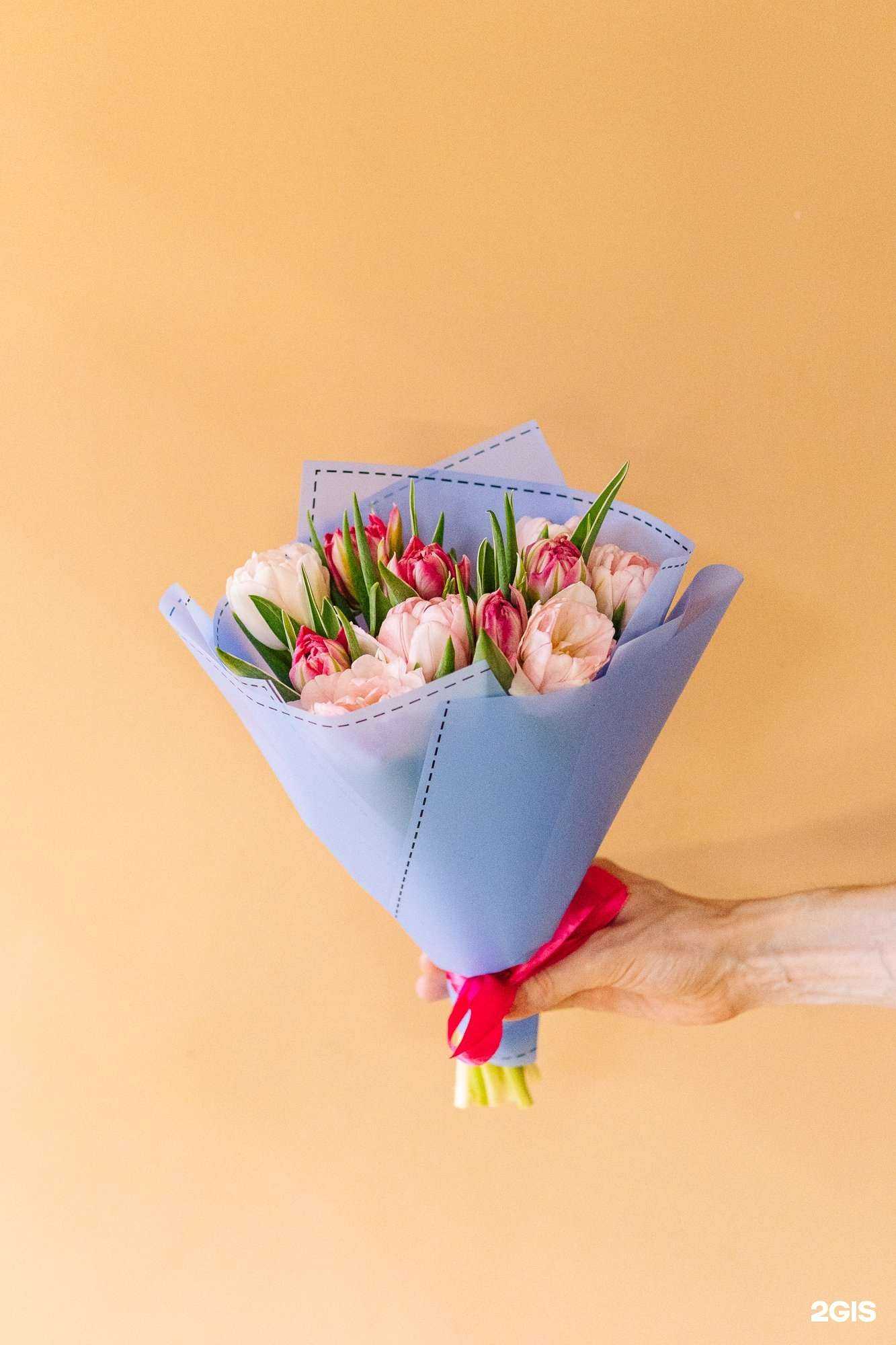 Отзывы на компанию Бамбук в г. Челябинск c фото