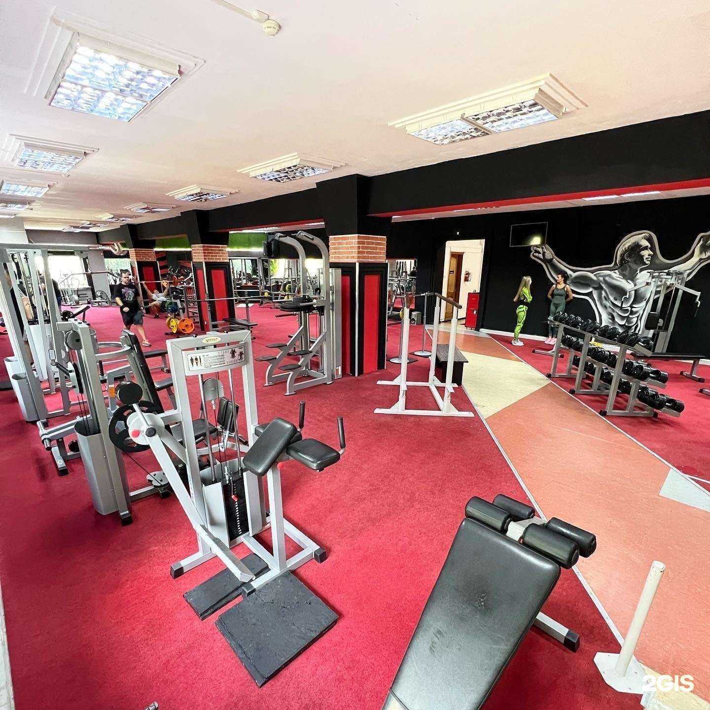 Отзывы на компанию Спарта в Балакове c фото