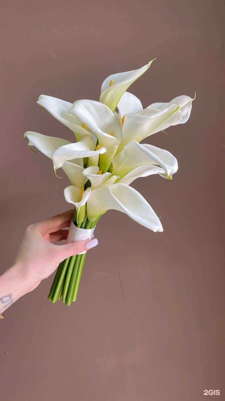 Отзывы на компанию Пан Тюльпан в г. Петрозаводск c фото