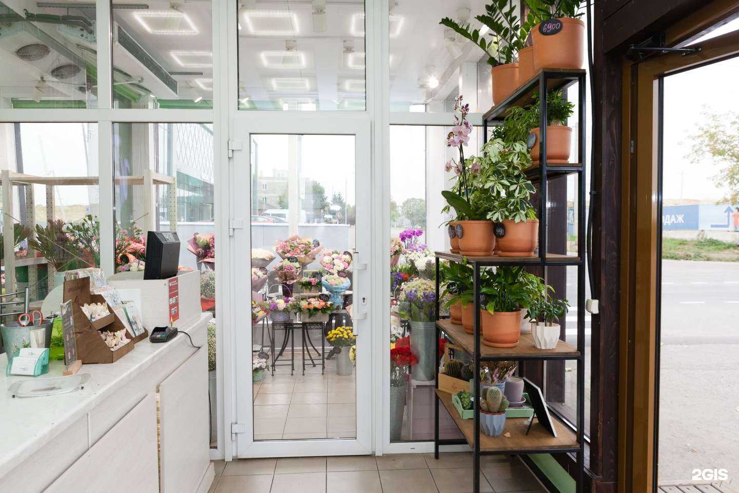 Отзывы на компанию Ирис в Видном c фото